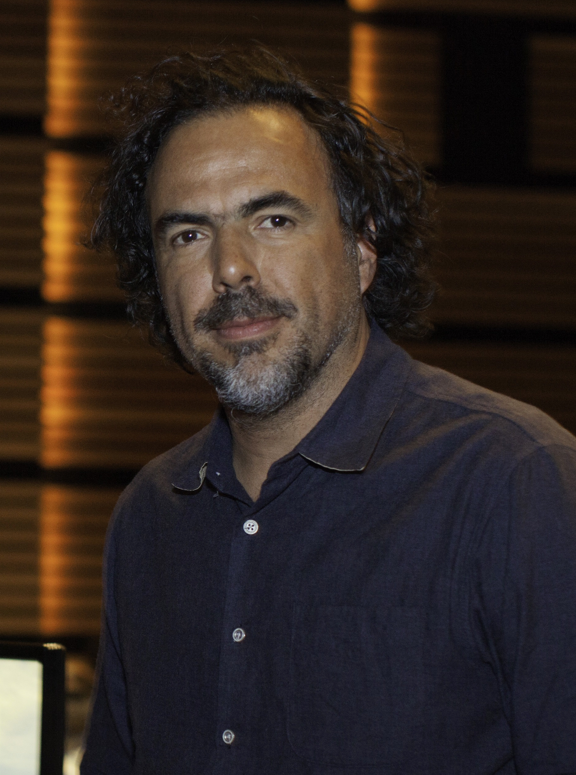 Alejandro González Iñárritu photo