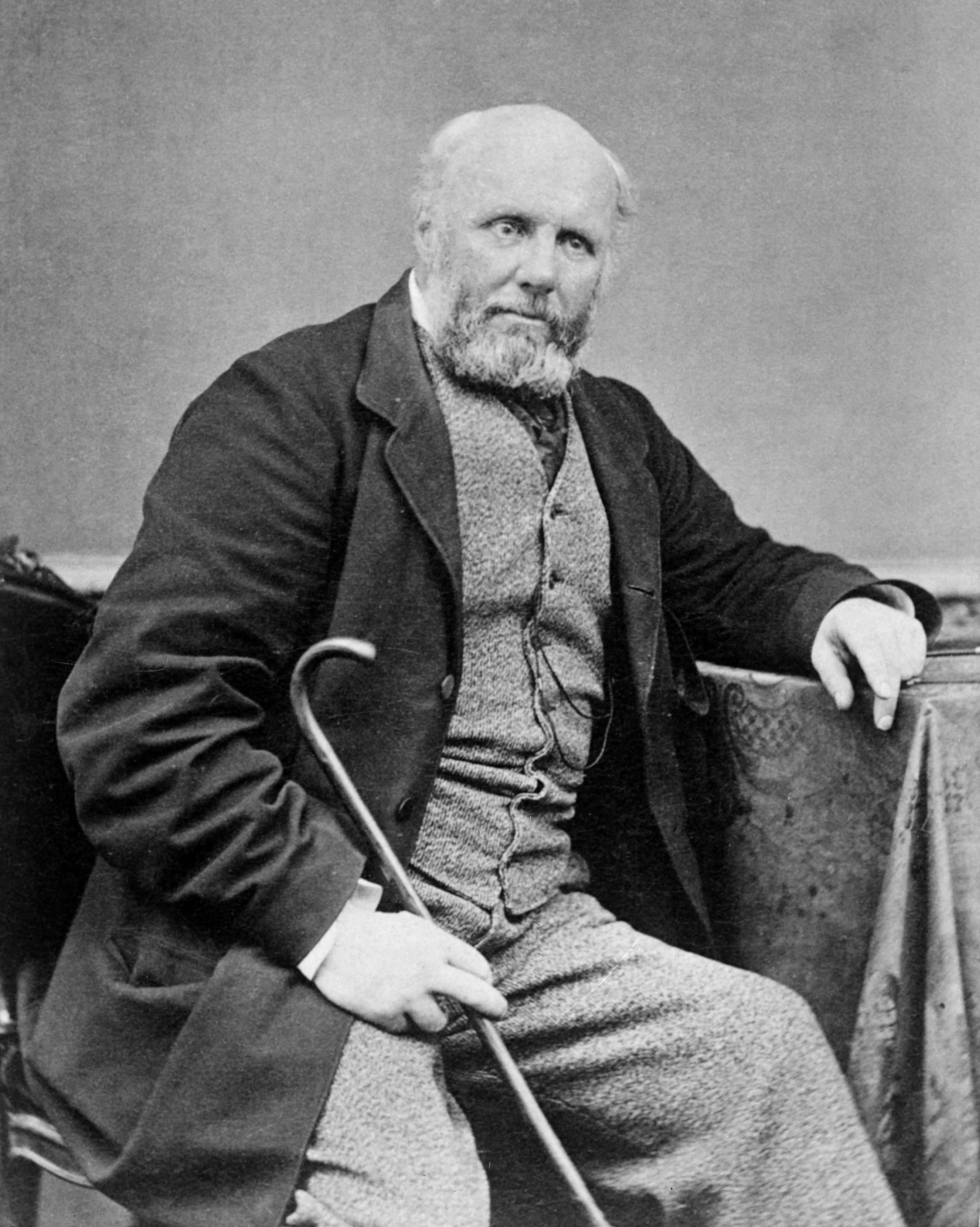 Alfred Domett photo