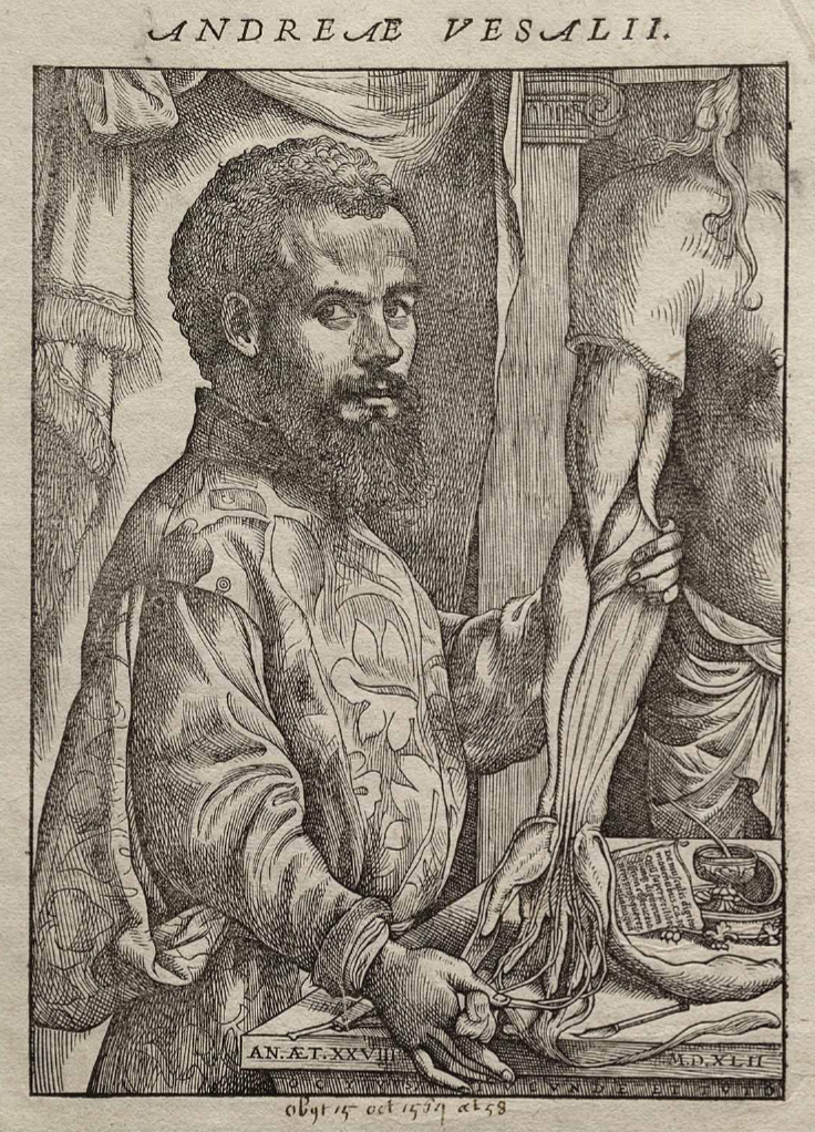 Andrea Vesalio photo