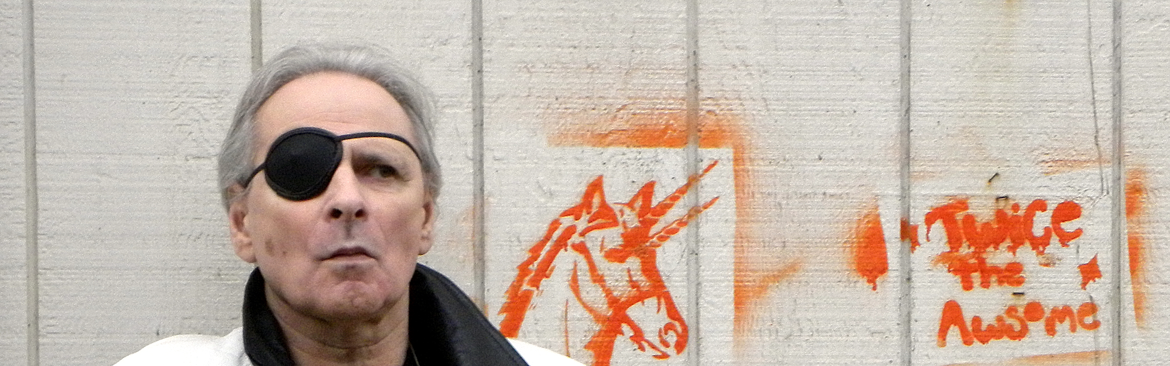 Andrew Vachss photo