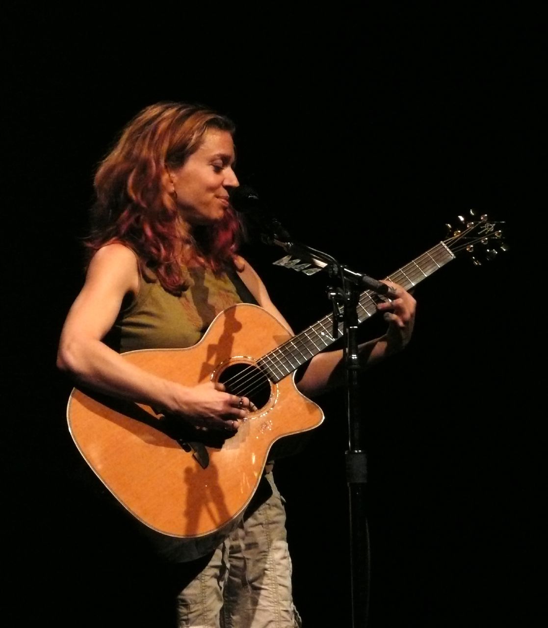 Ani DiFranco photo