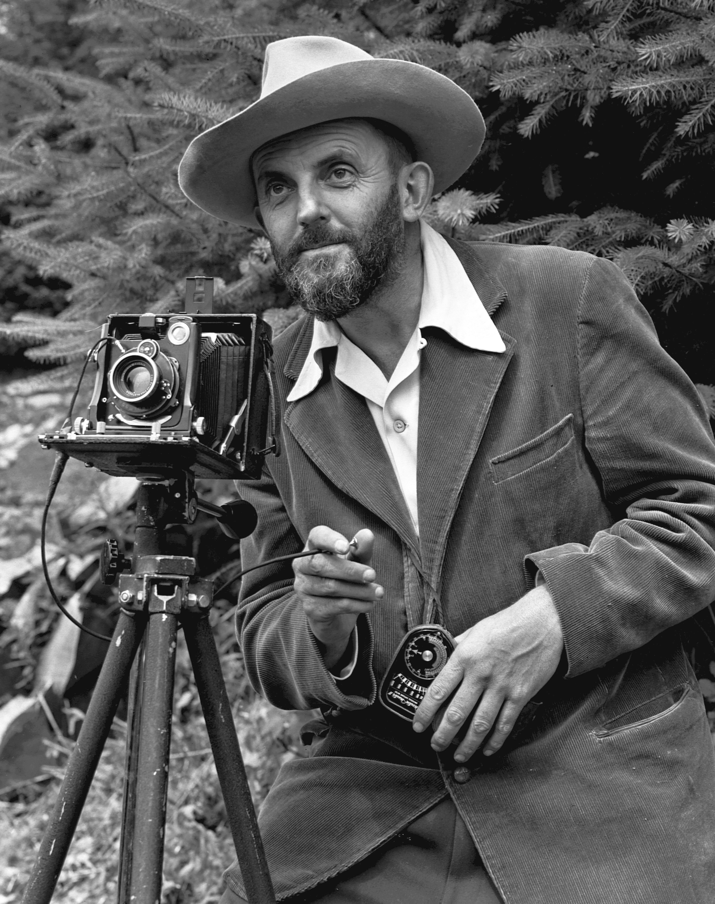 Ansel Adams photo