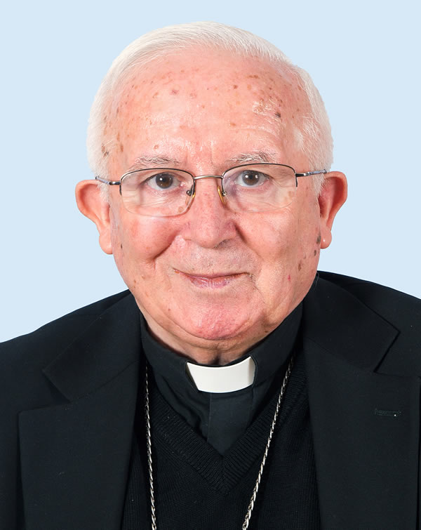 Antonio Cañizares Llovera photo