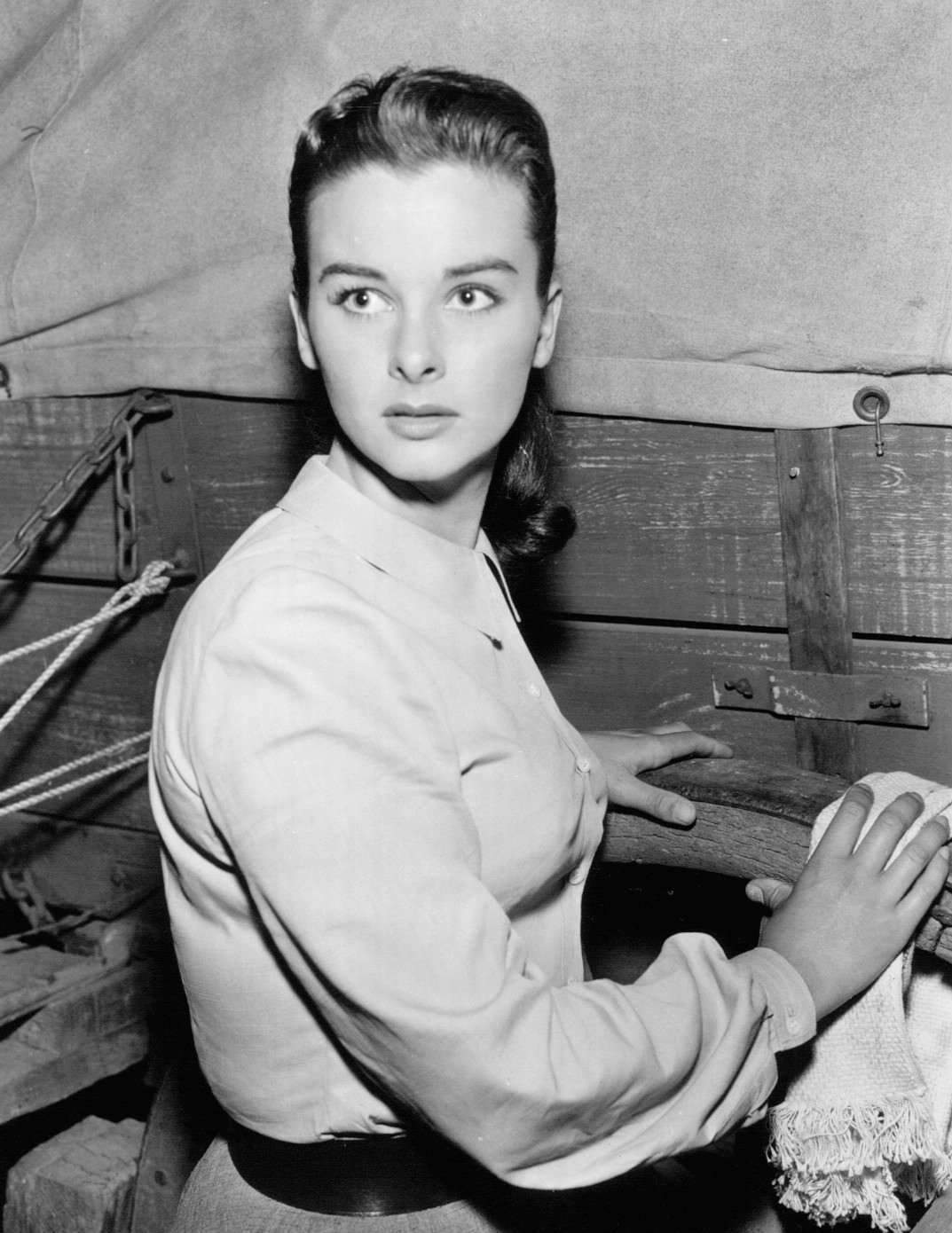 Audrey Dalton photo