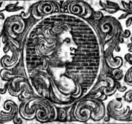 Bernard de Mandeville photo