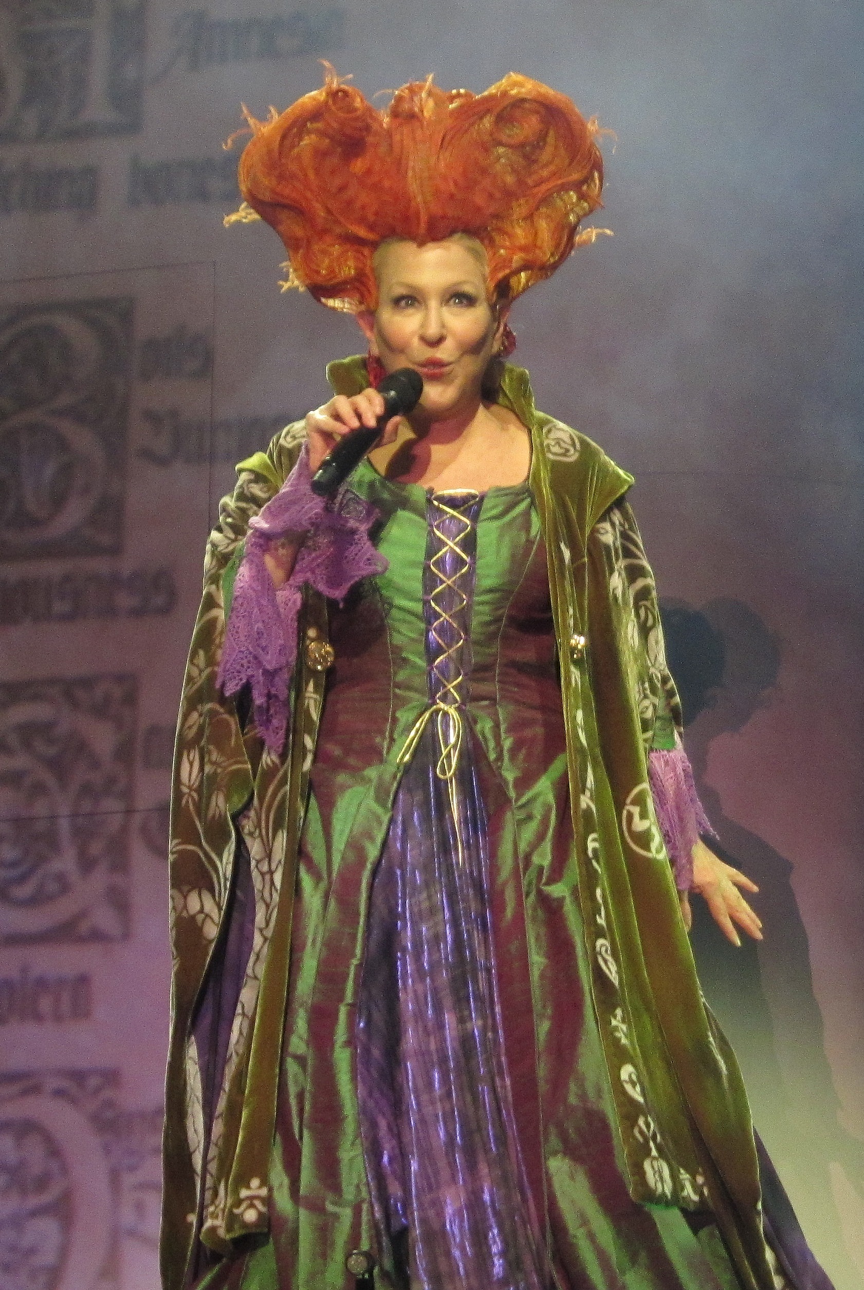 Bette Midler photo