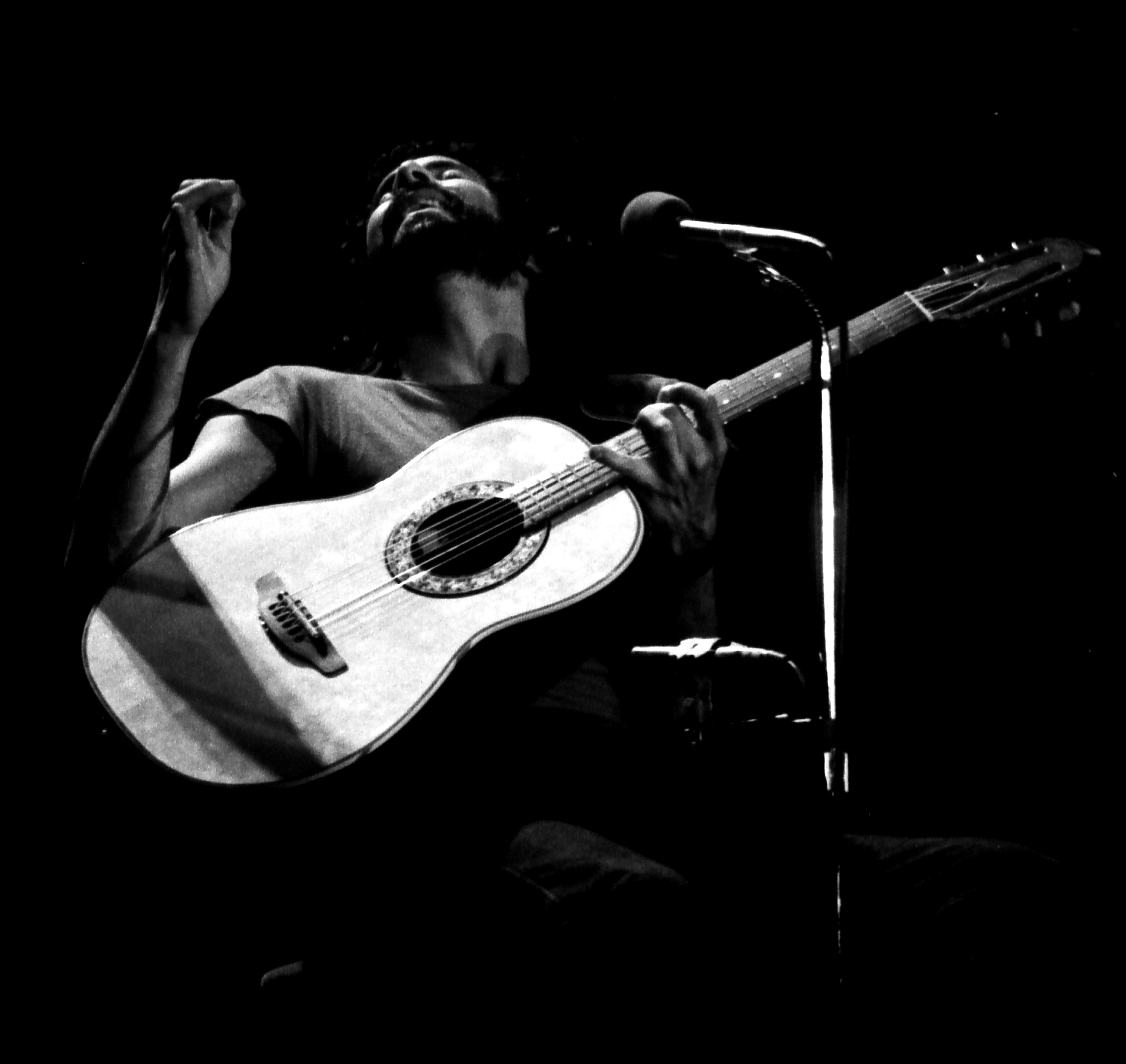 Cat Stevens photo