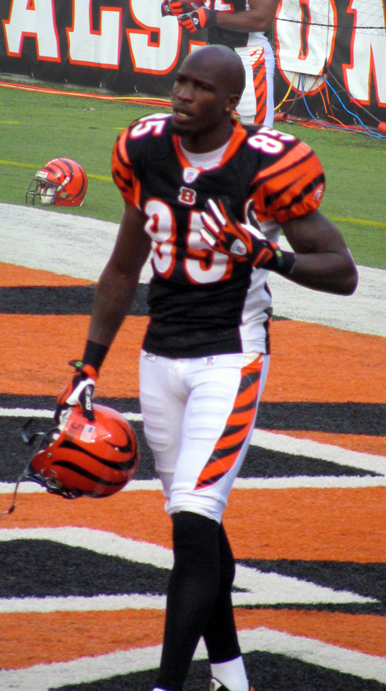 Chad Johnson photo