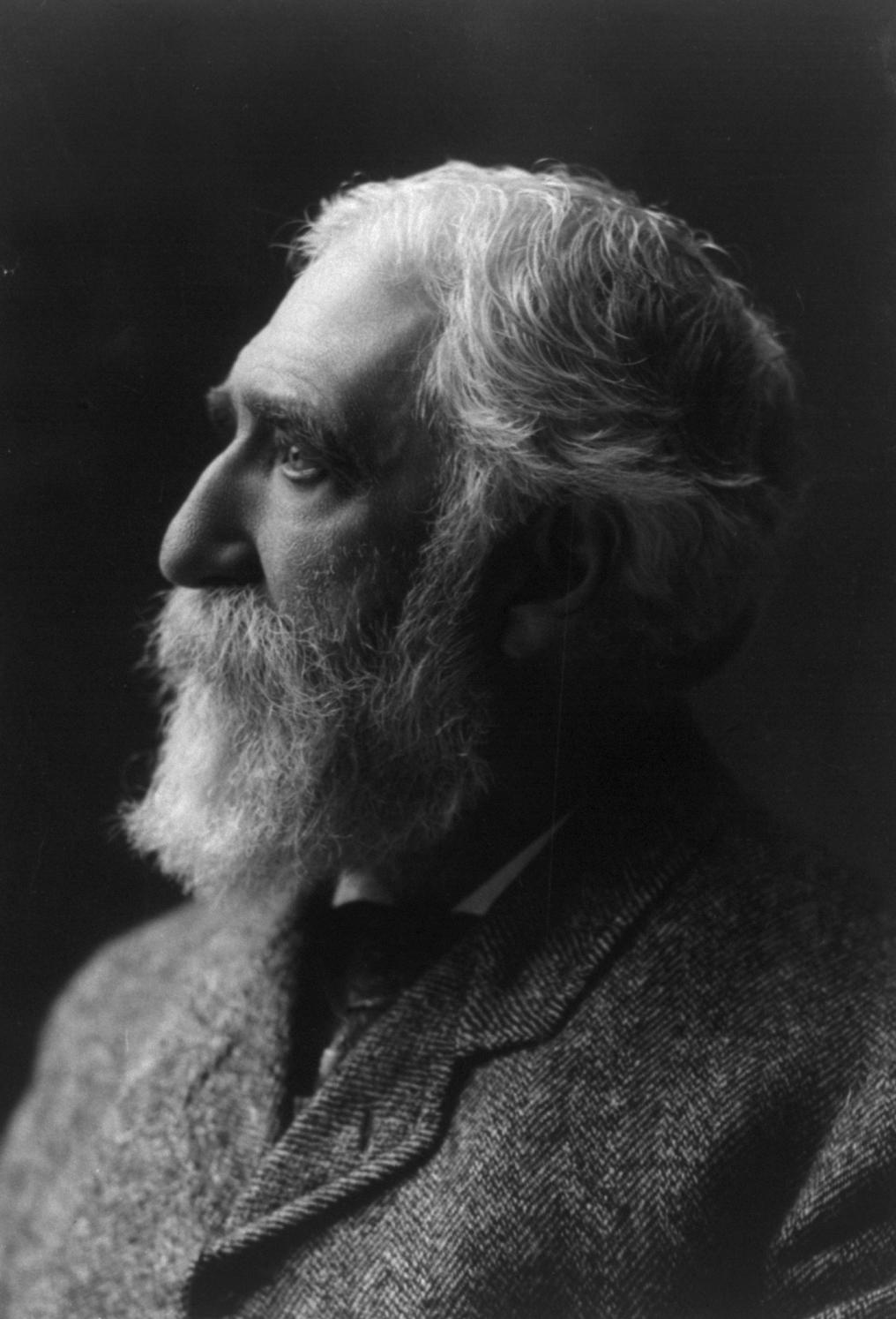 Charles Dudley Warner photo