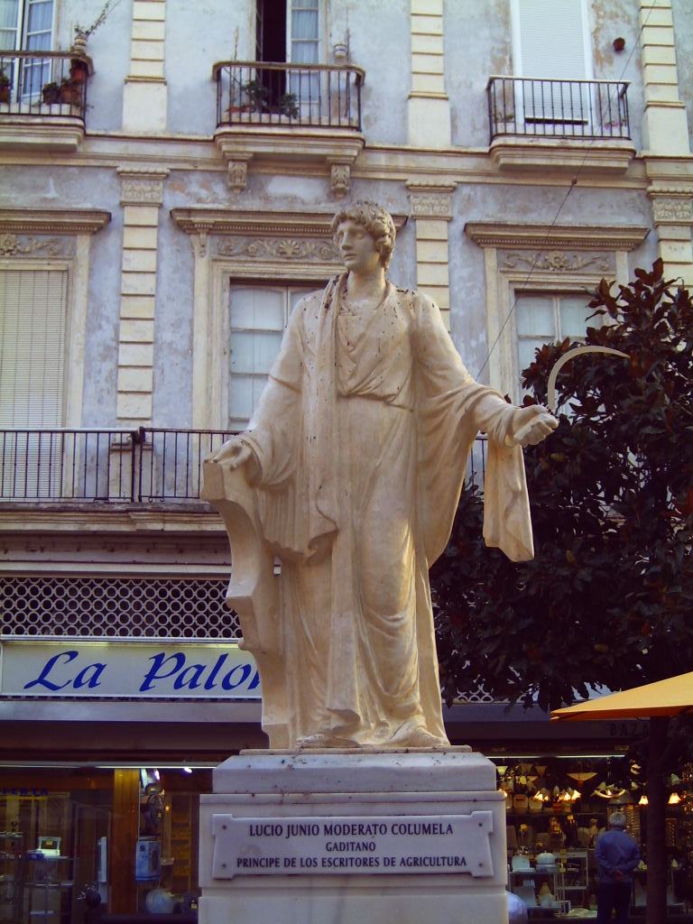 Columella photo