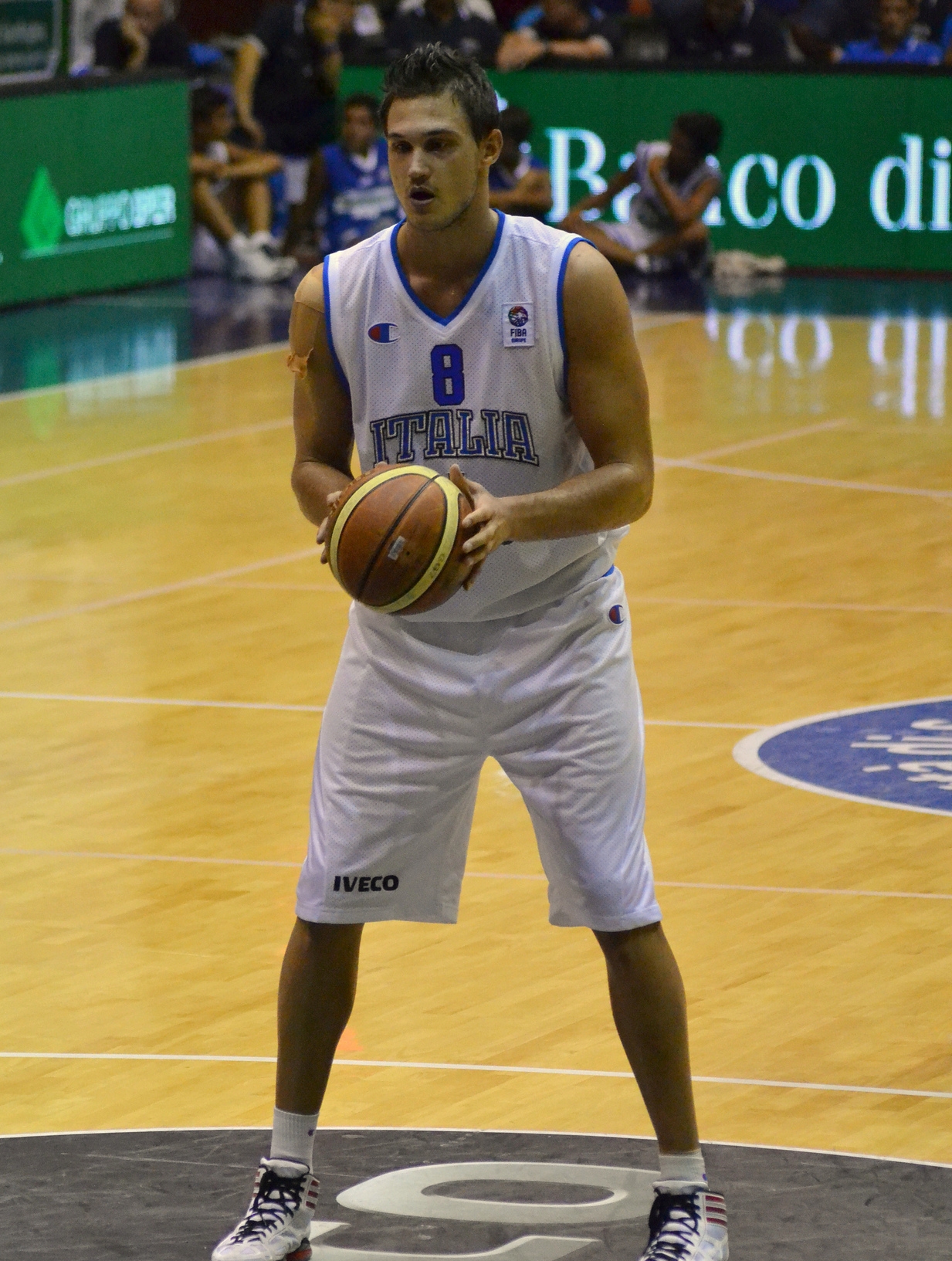 Danilo Gallinari photo