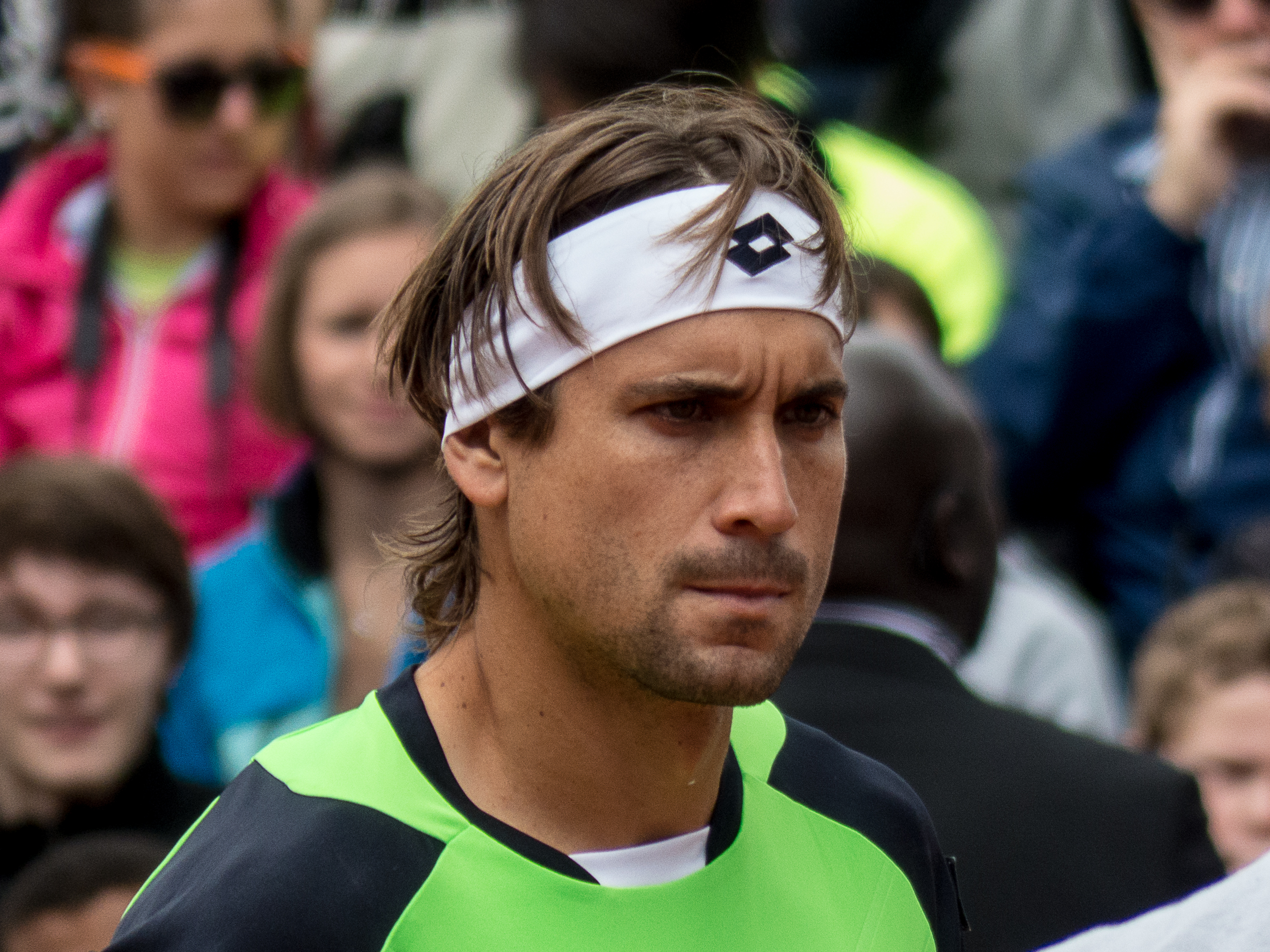 David Ferrer photo