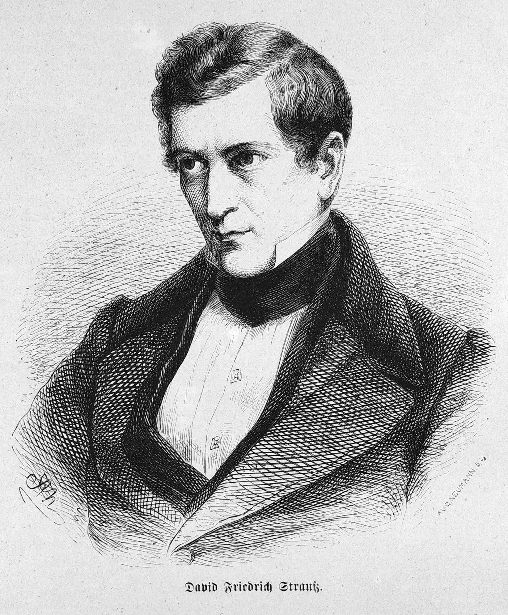 David Friedrich Strauß photo
