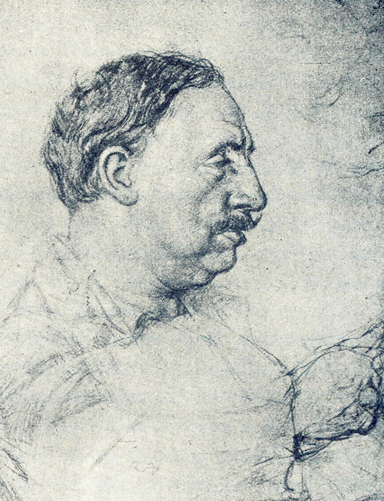 Edoardo Scarfoglio photo