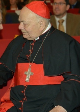 Elio Sgreccia photo