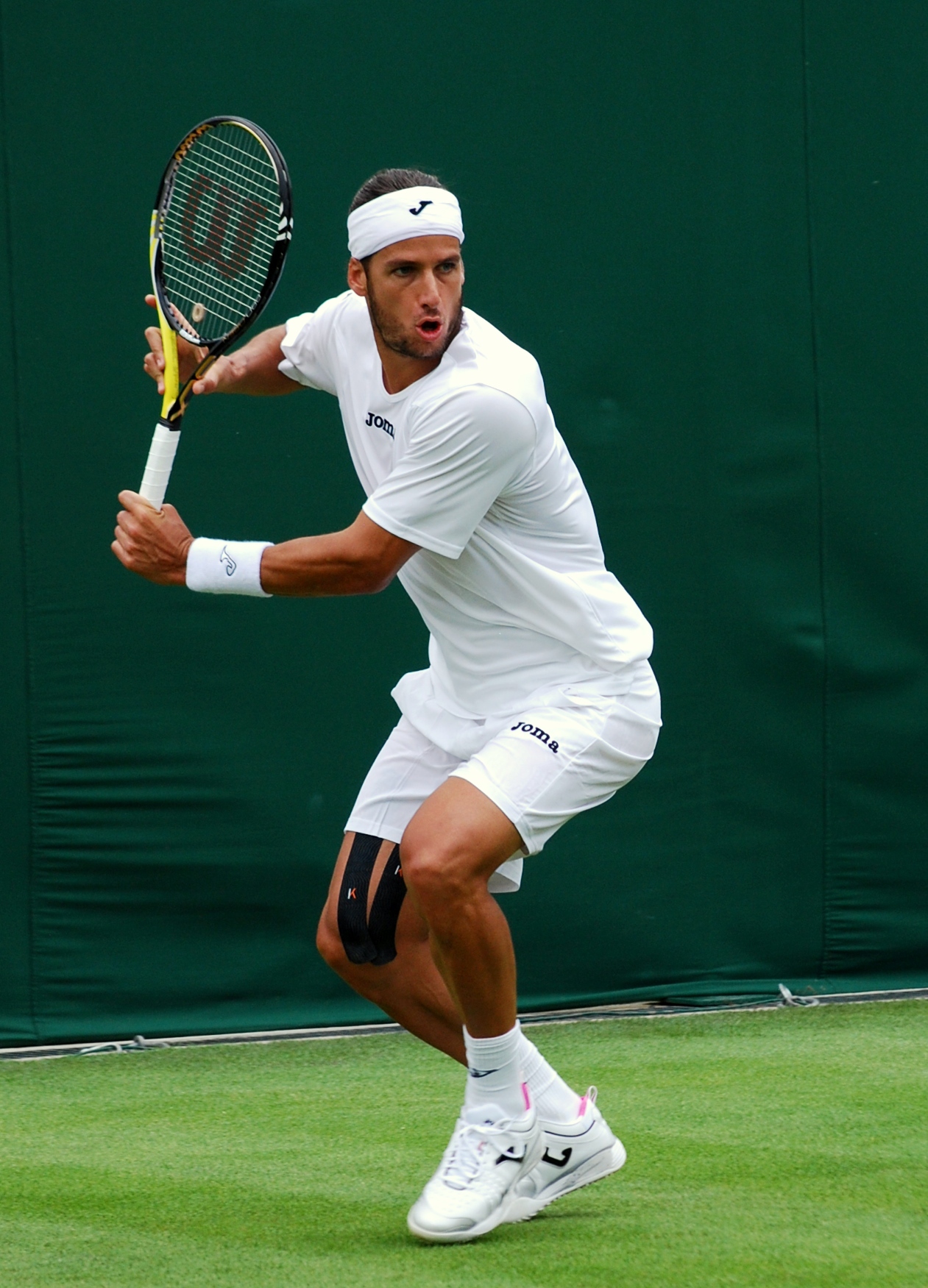 Feliciano López photo