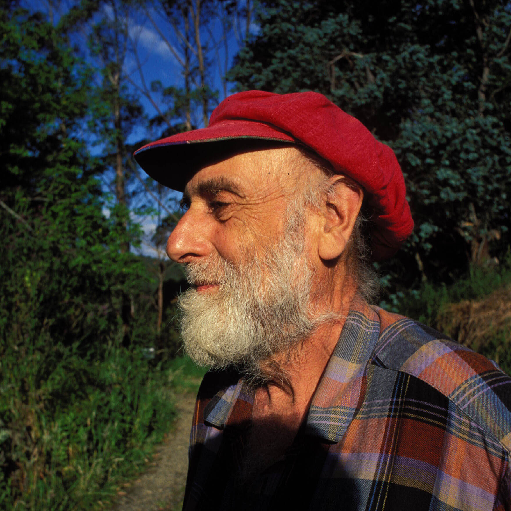 Friedensreich Hundertwasser photo
