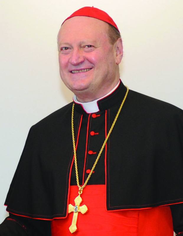 Gianfranco Ravasi photo