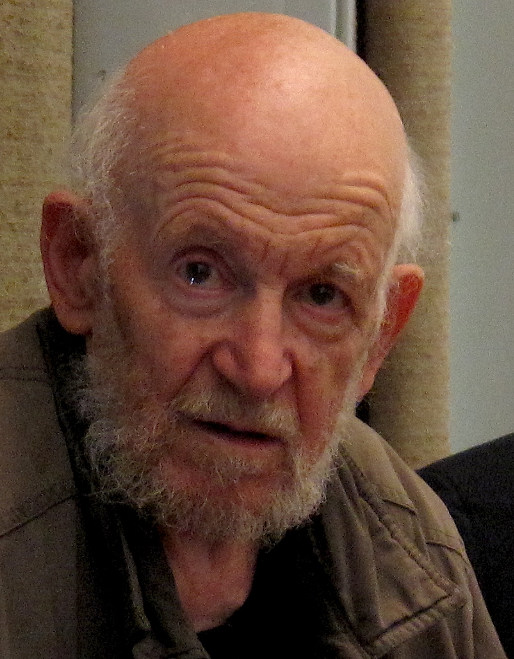 Gustav Metzger photo