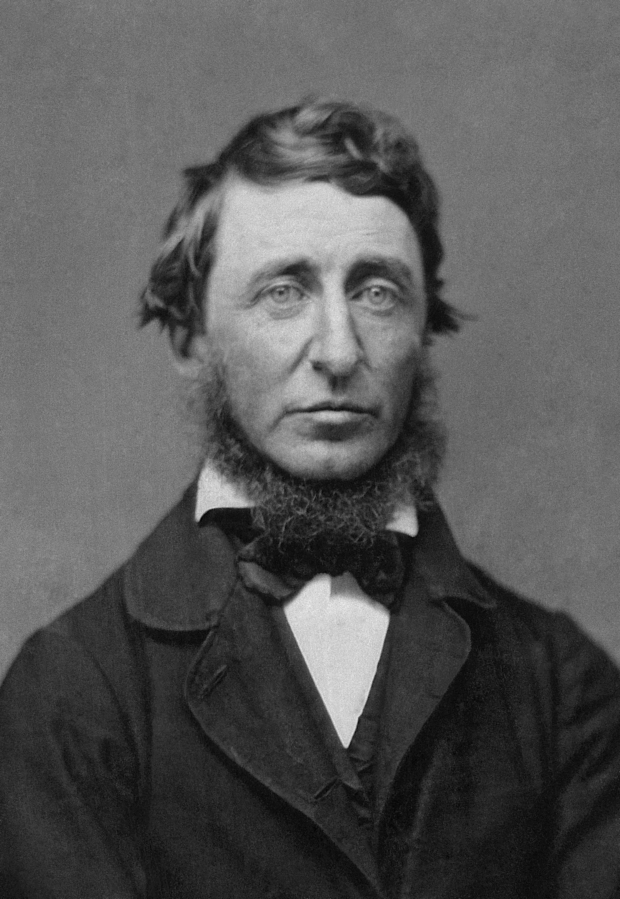 Henry David Thoreau photo