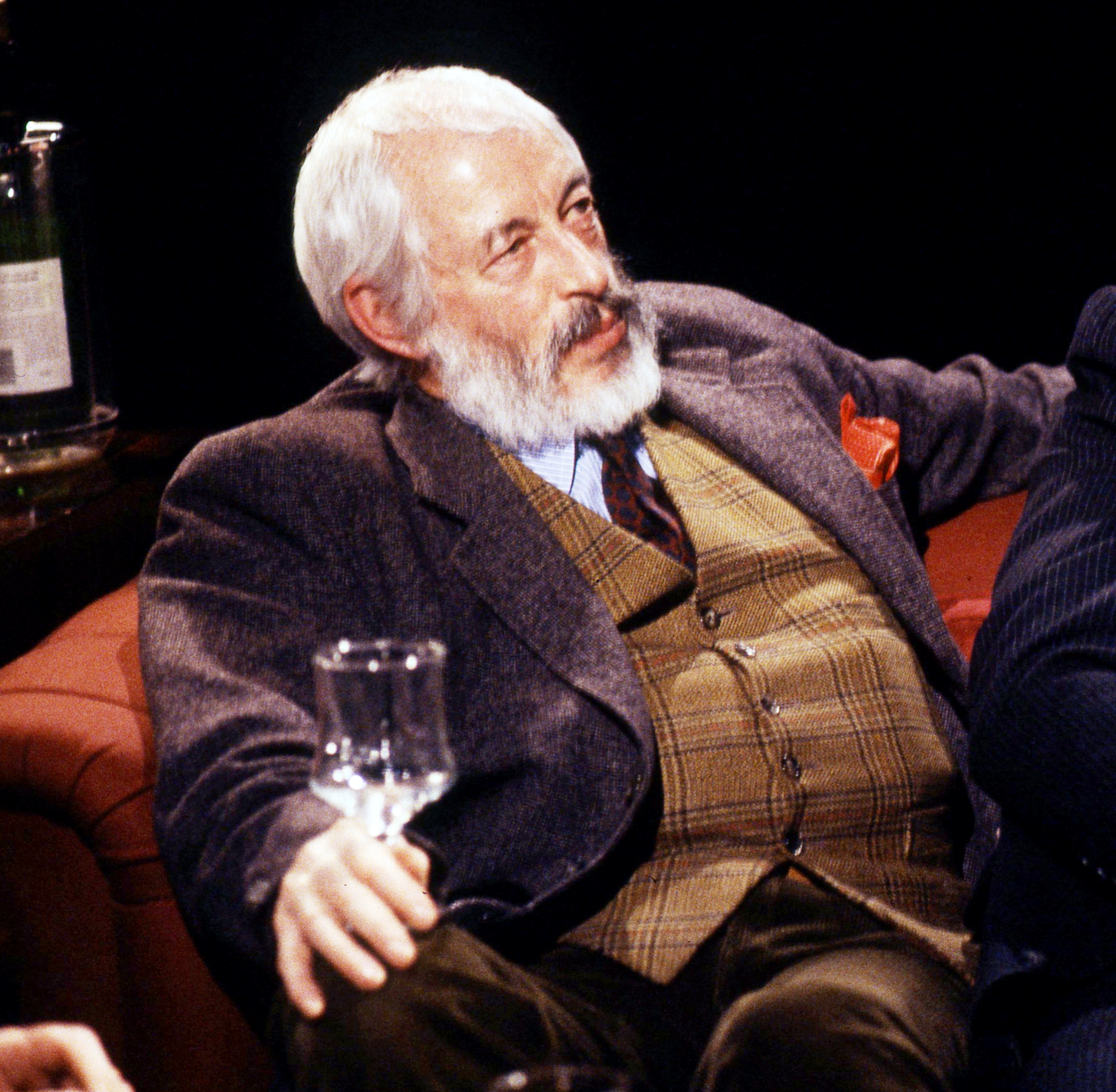 J. P. Donleavy photo