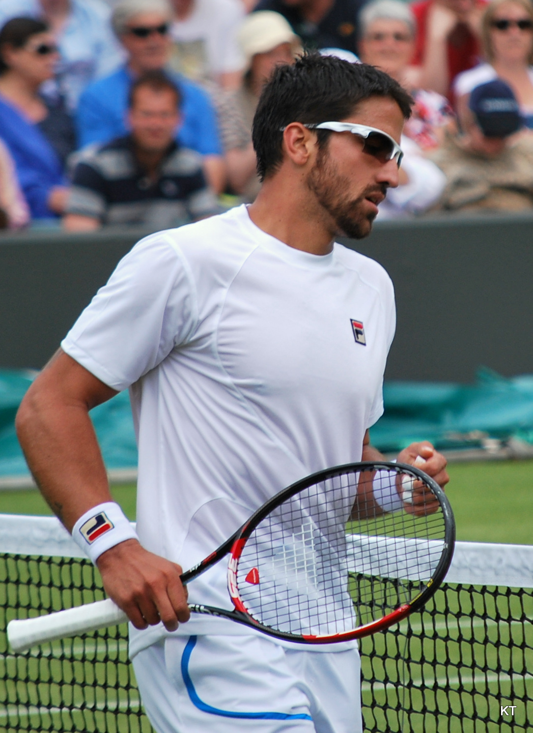 Janko Tipsarević photo