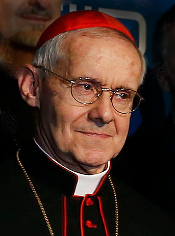Jean-Louis Pierre Tauran photo