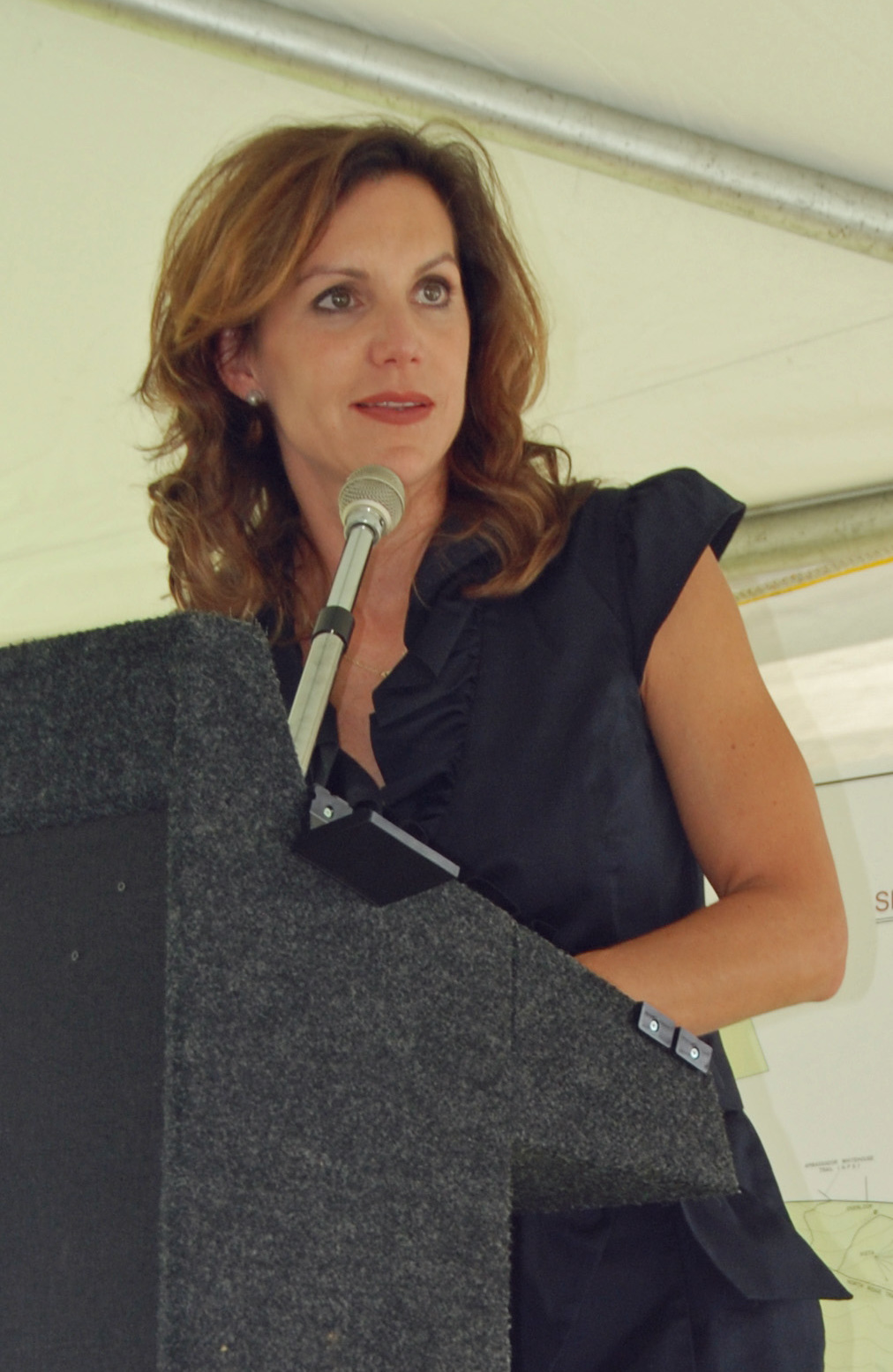 Jill Holtzman Vogel photo