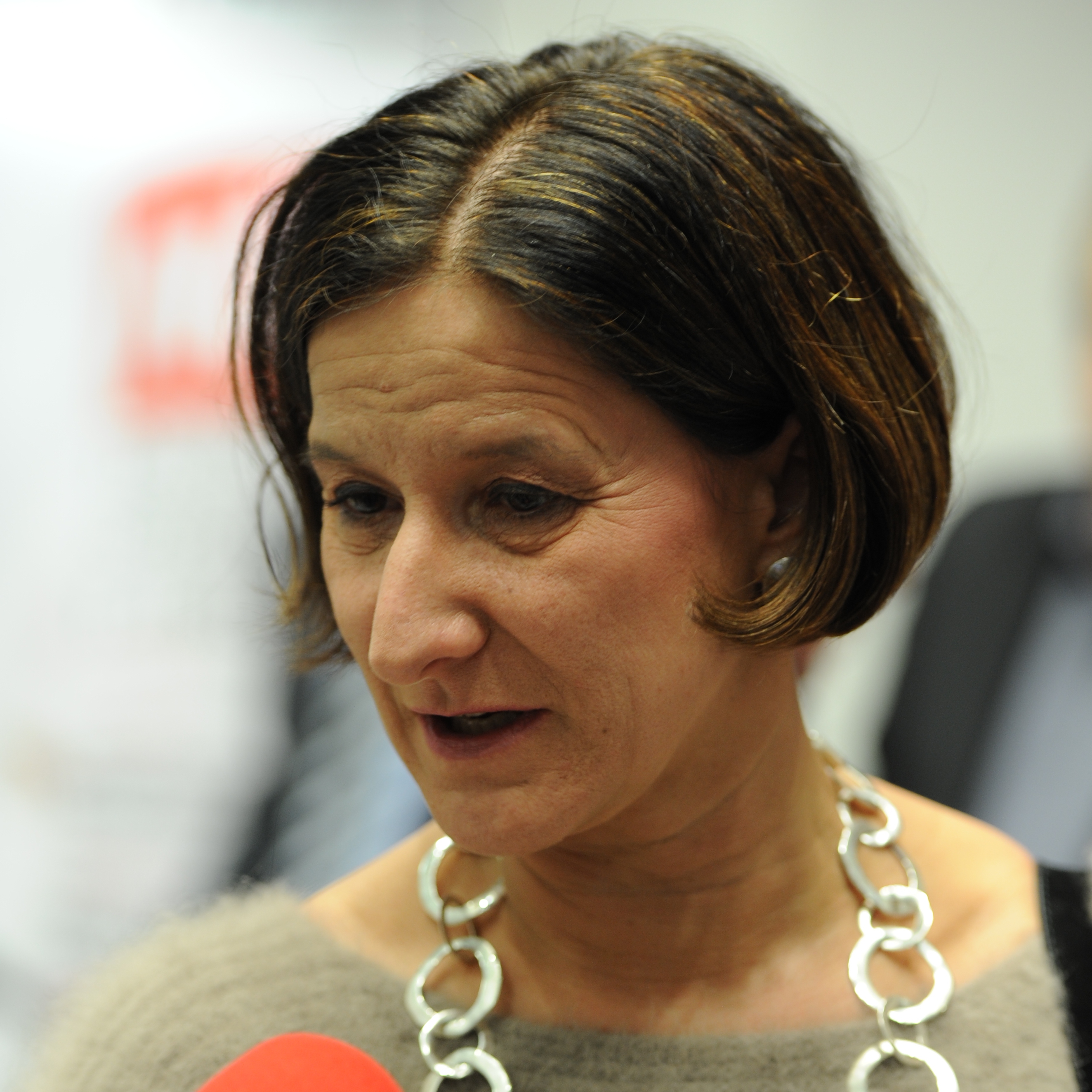 Johanna Mikl-Leitner photo