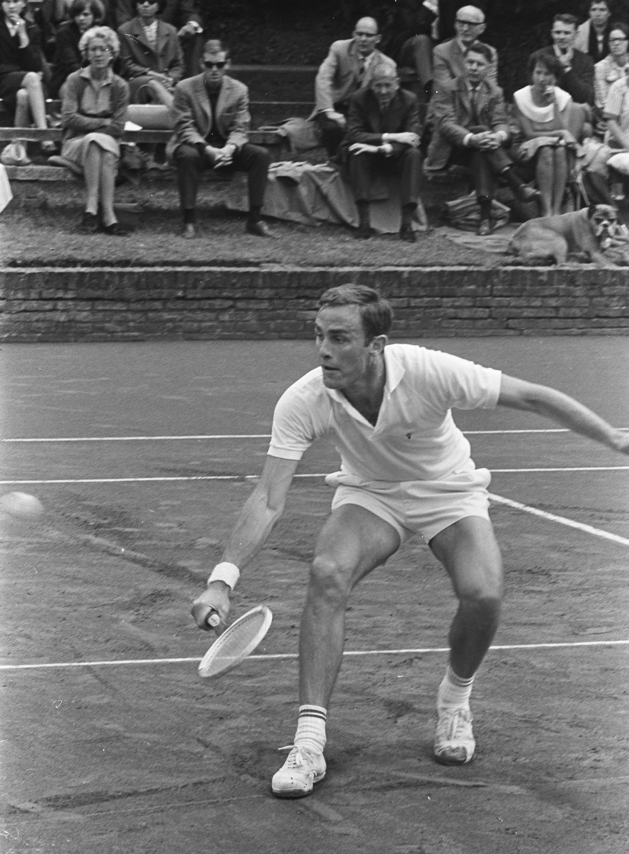 John Newcombe photo
