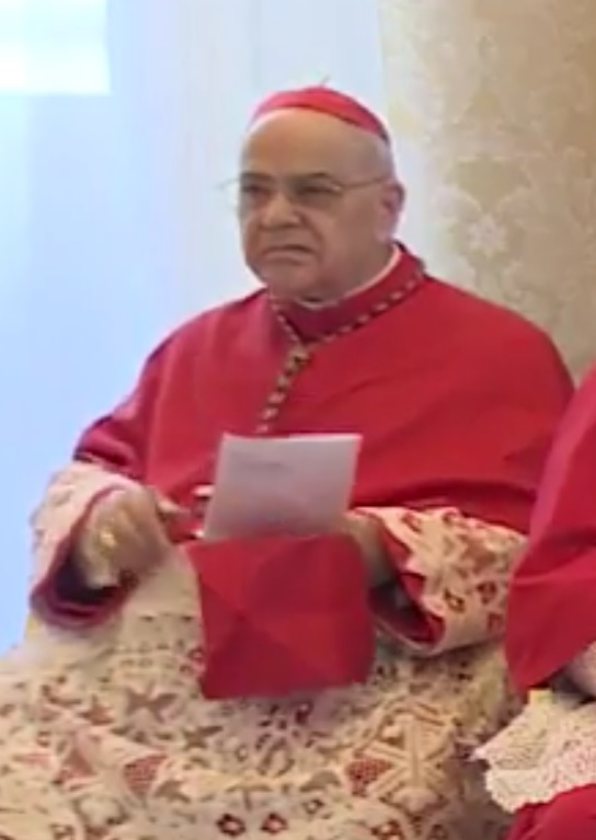 José Saraiva Martins photo
