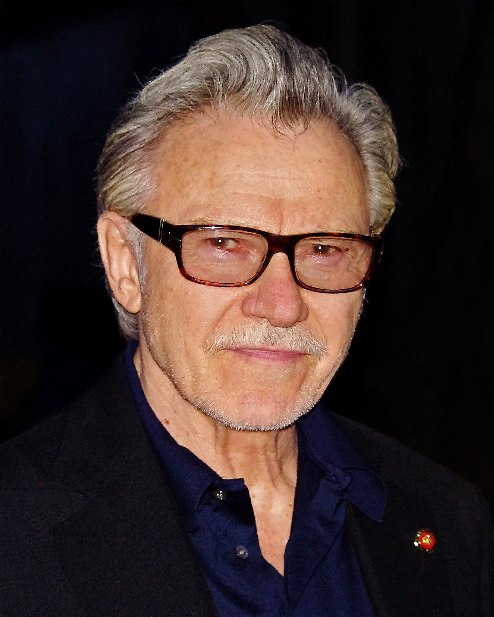 Harvey Keitel photo