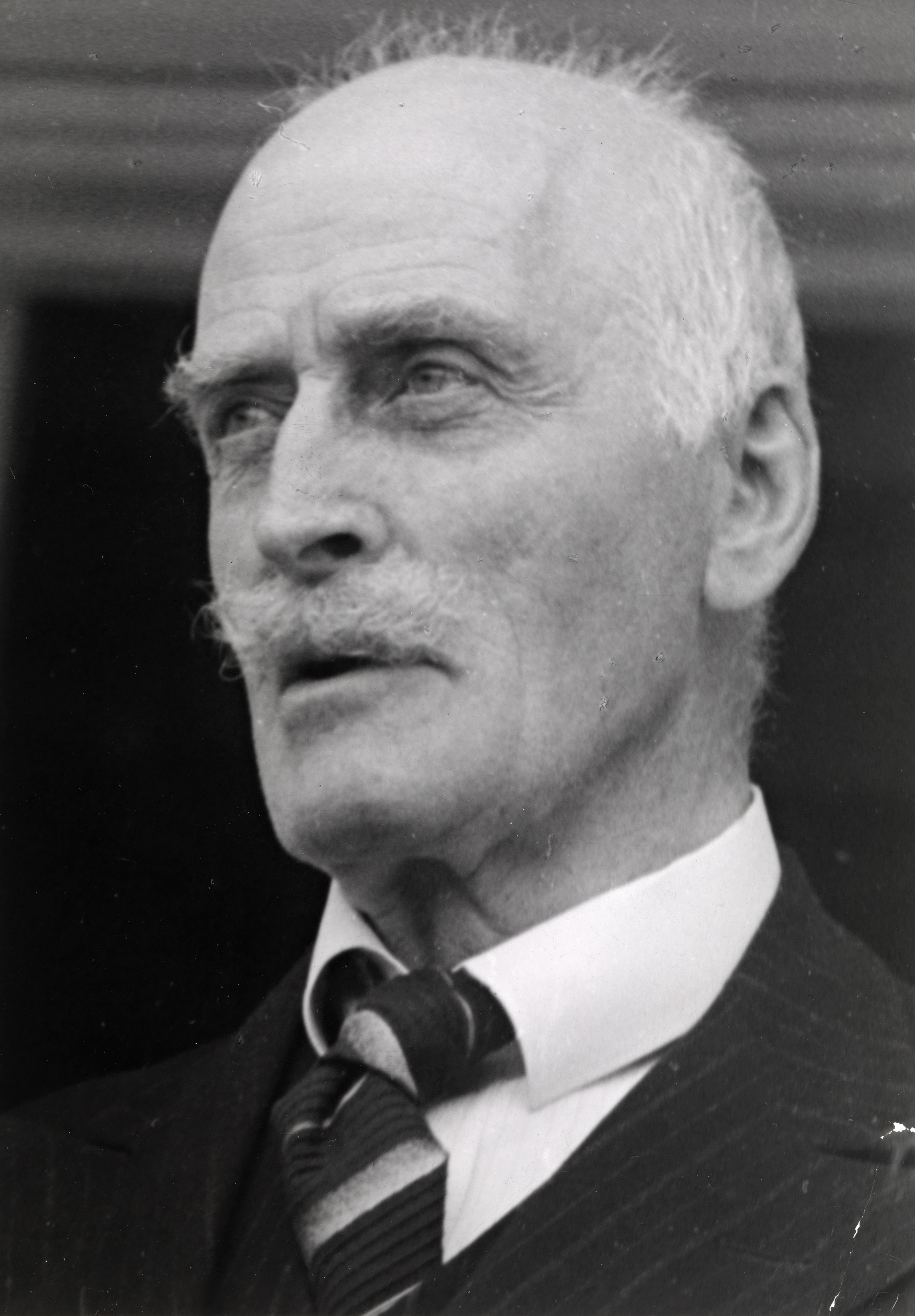 Knut Hamsun photo