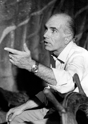 Luigi Comencini photo
