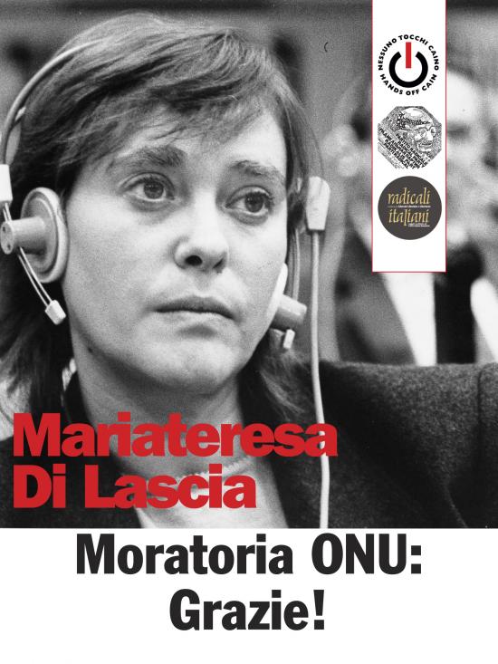 Mariateresa Di Lascia photo