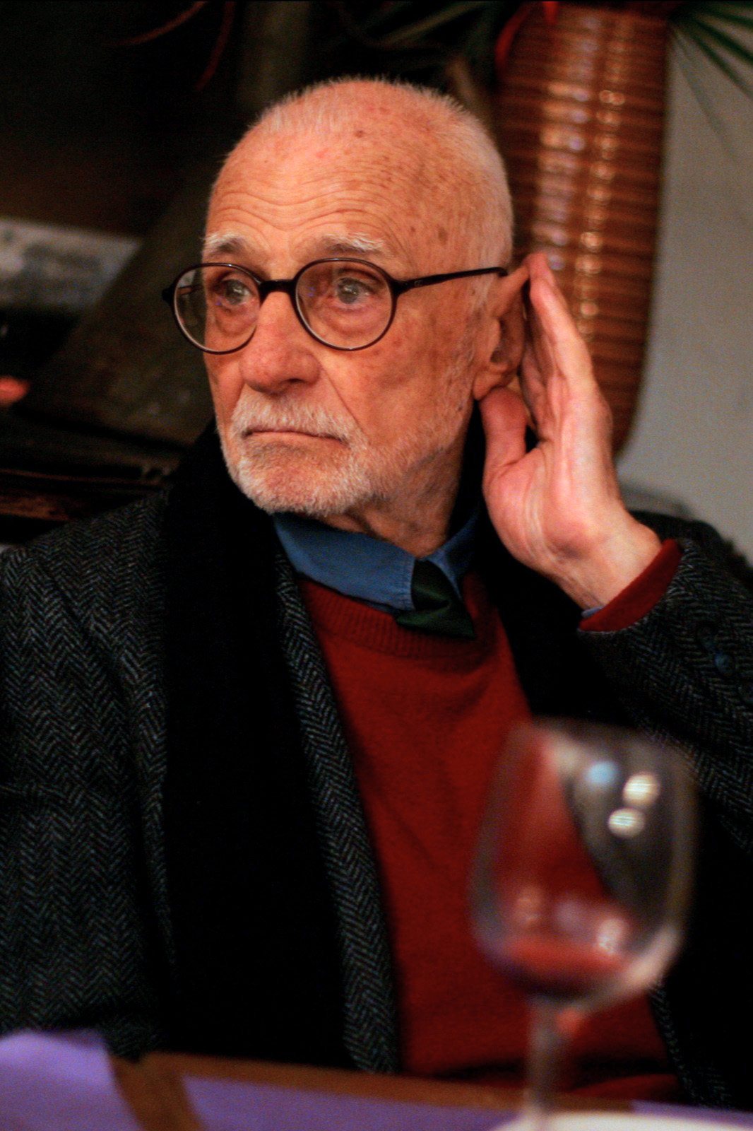 Mario Monicelli photo