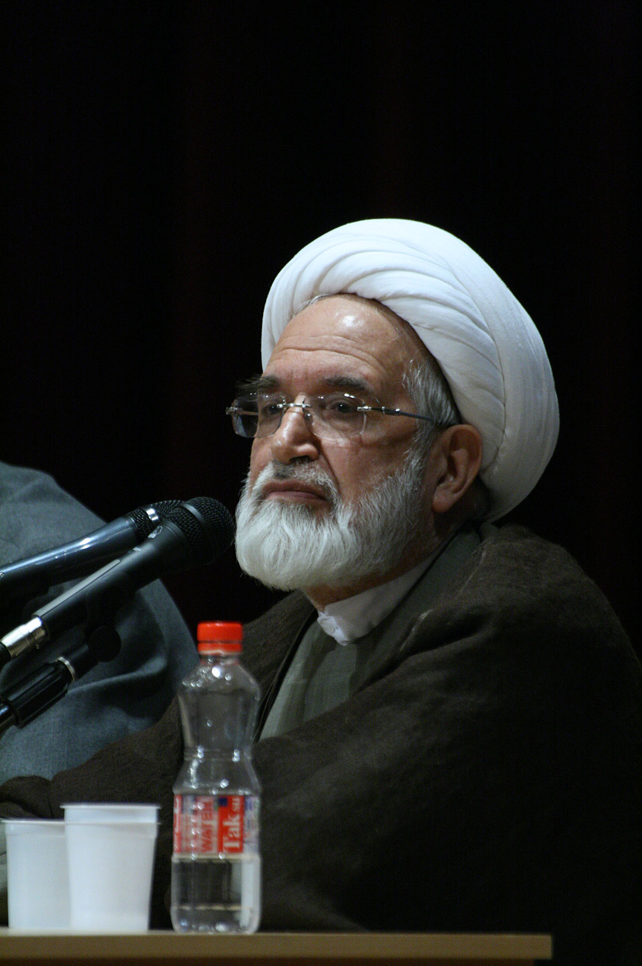 Mehdi Karrubi photo