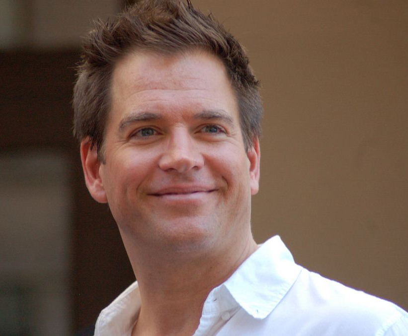 Michael Weatherly photo