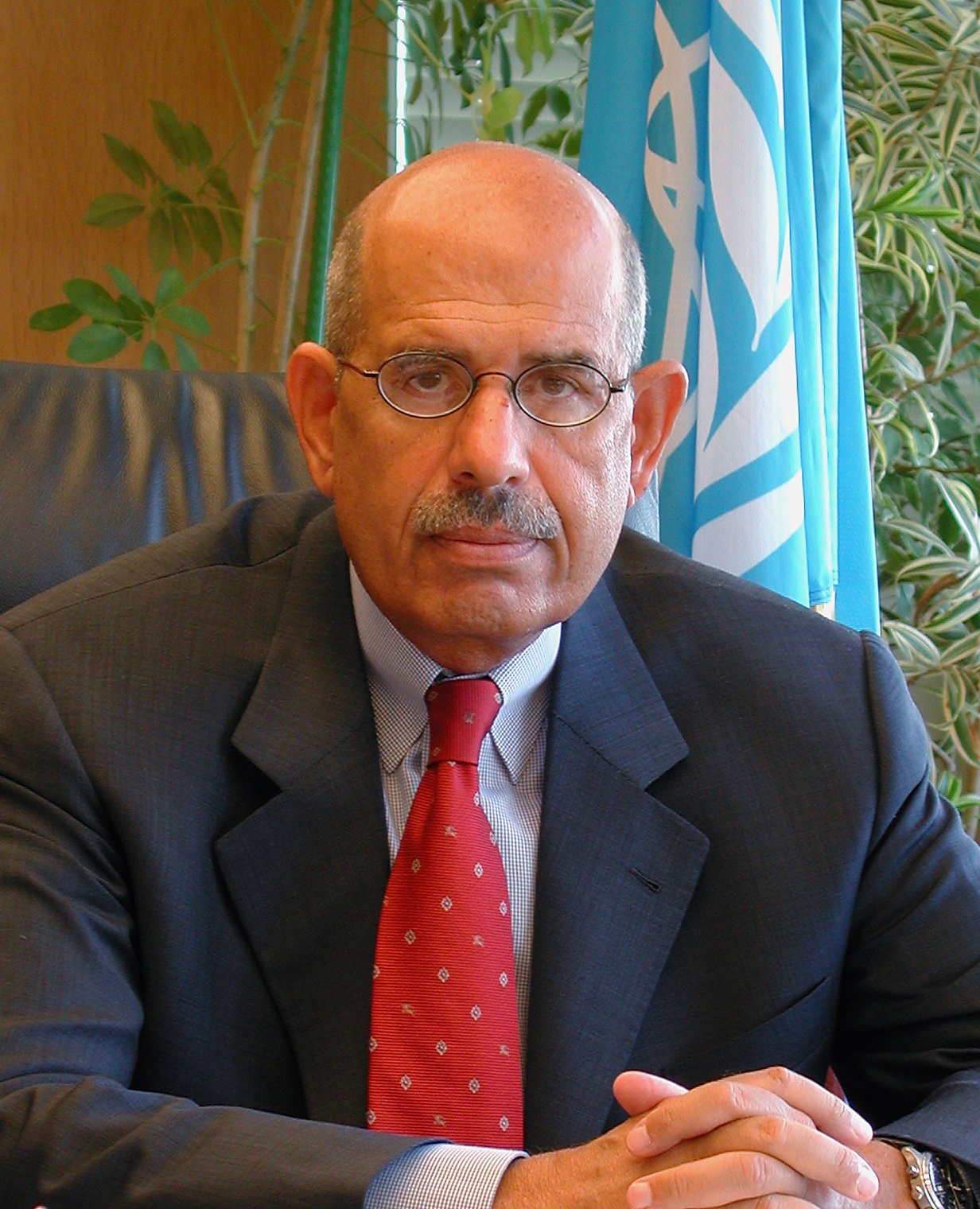 Muhammad al-Barade'i photo