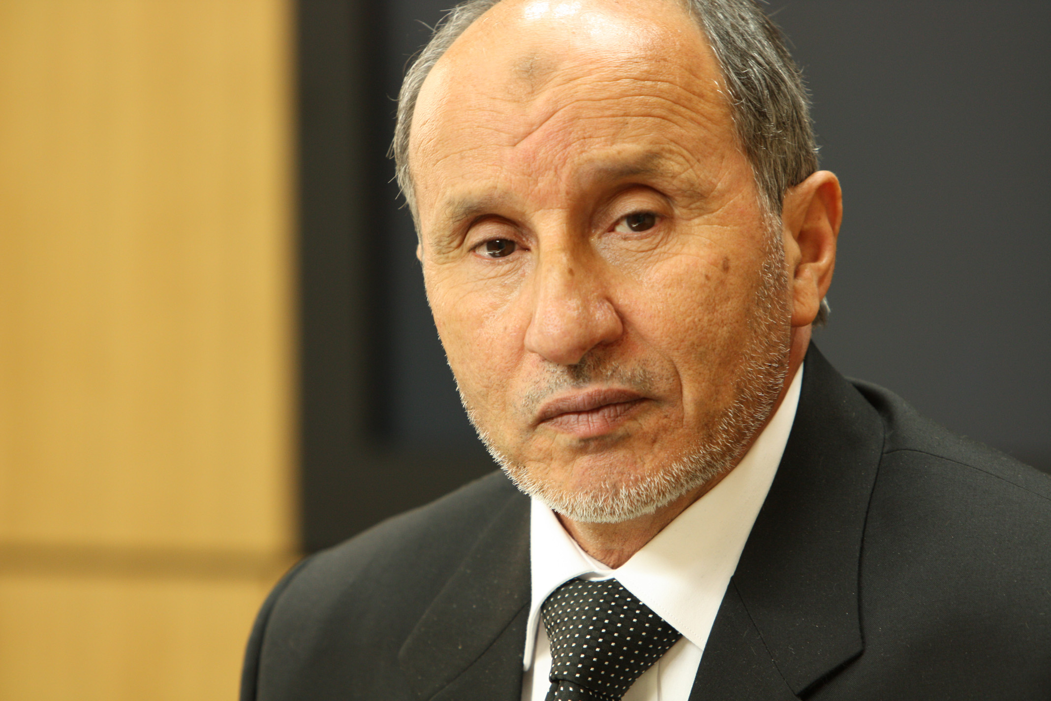 Mustafa Abdel Gelil photo