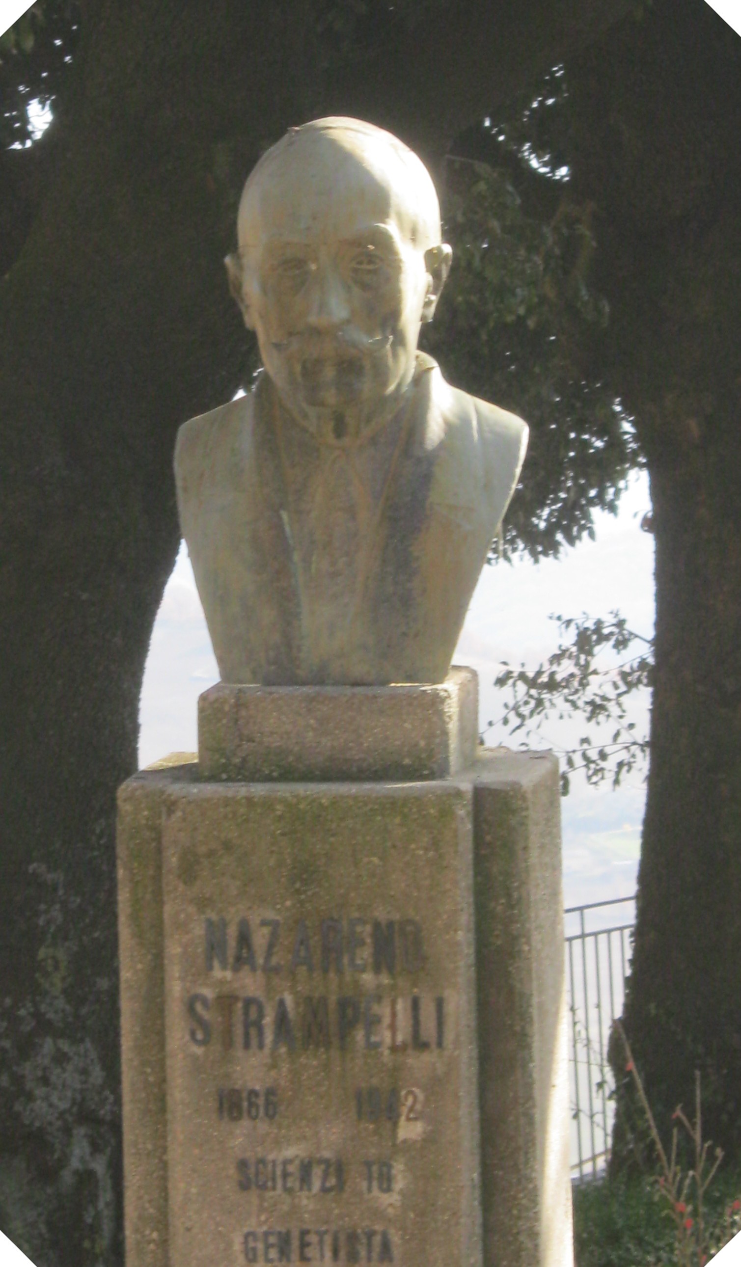 Nazareno Strampelli photo