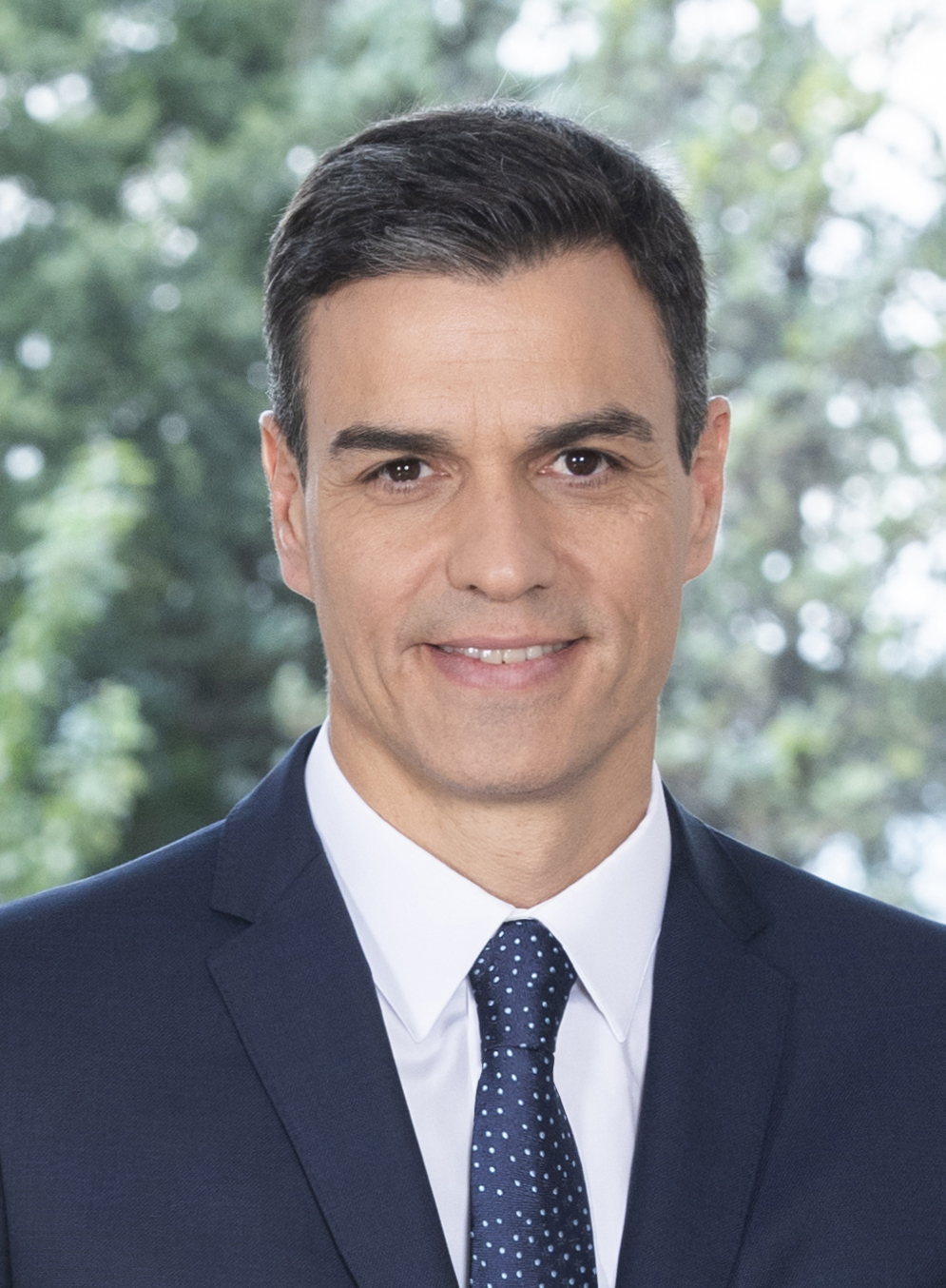 Pedro Sánchez photo