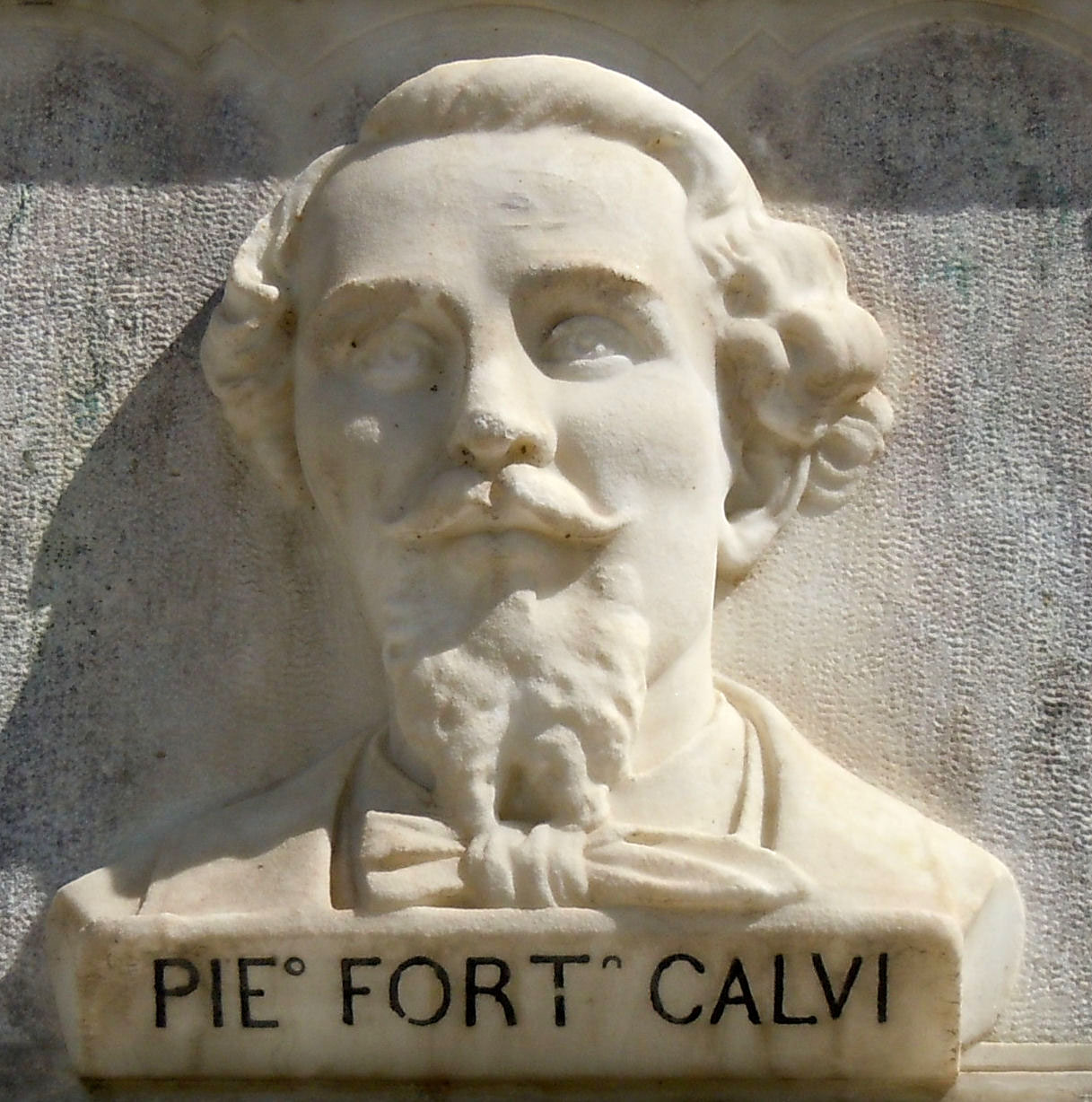 Pietro Fortunato Calvi photo