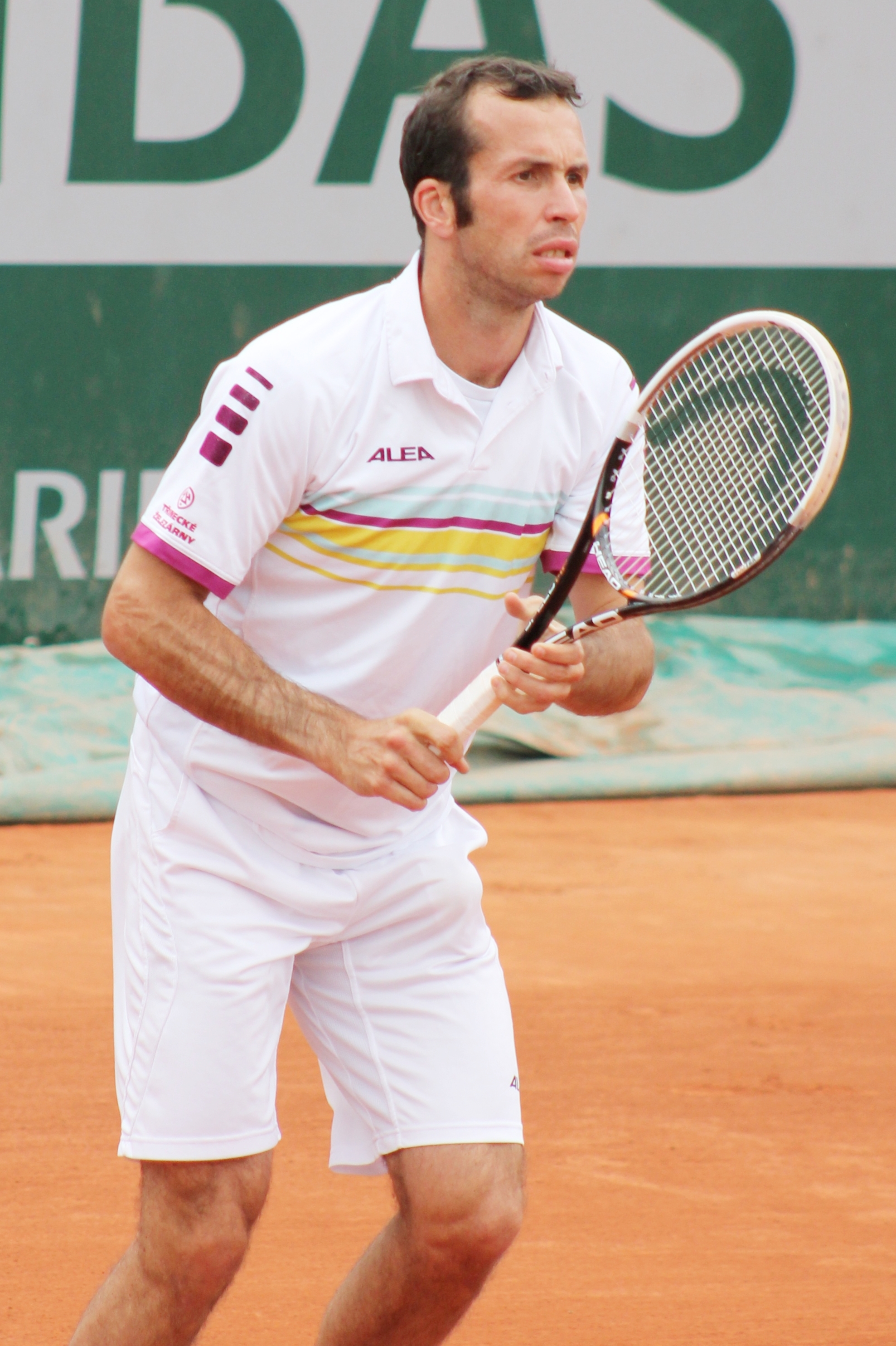 Radek Štěpánek photo