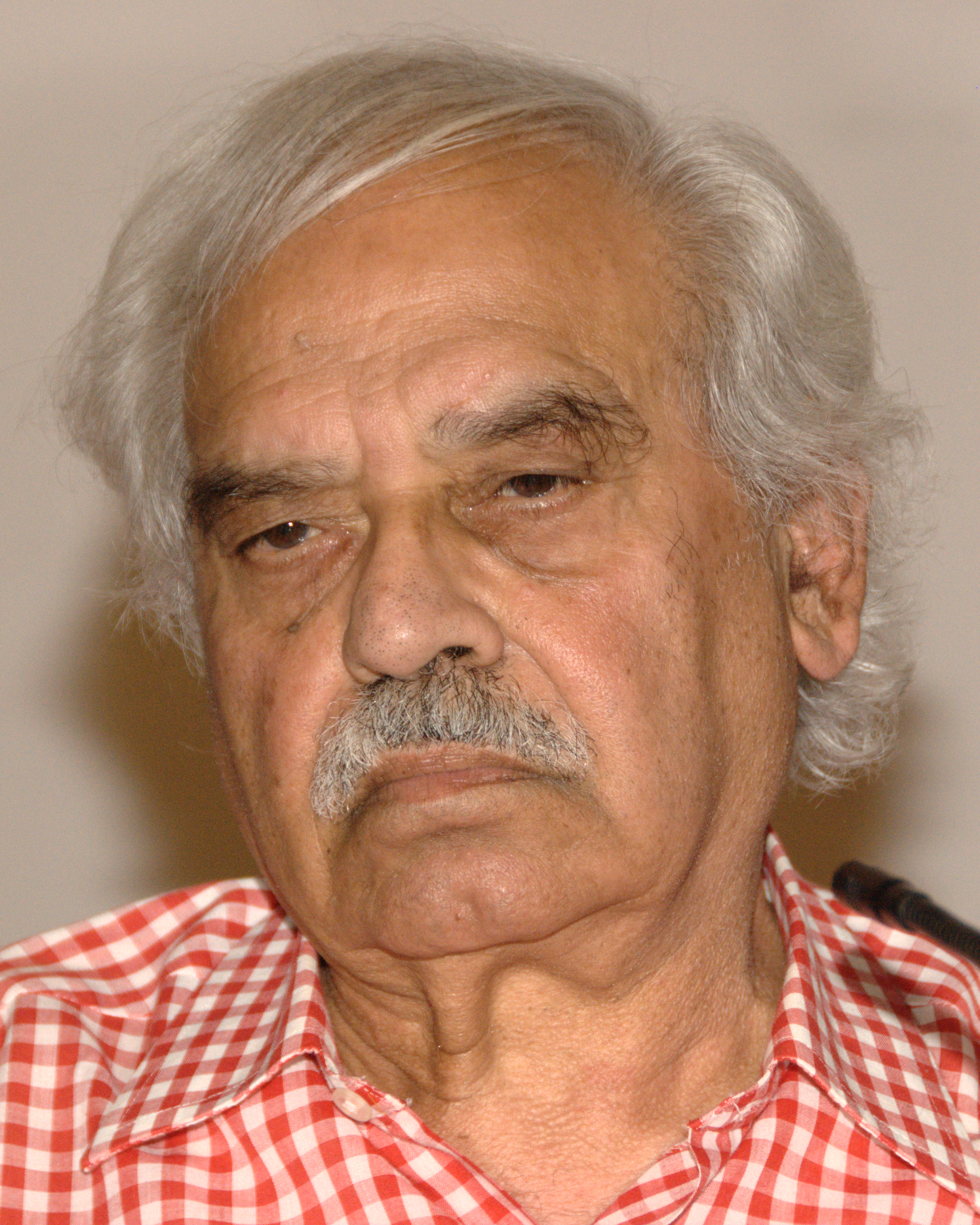 Rasheed Araeen photo