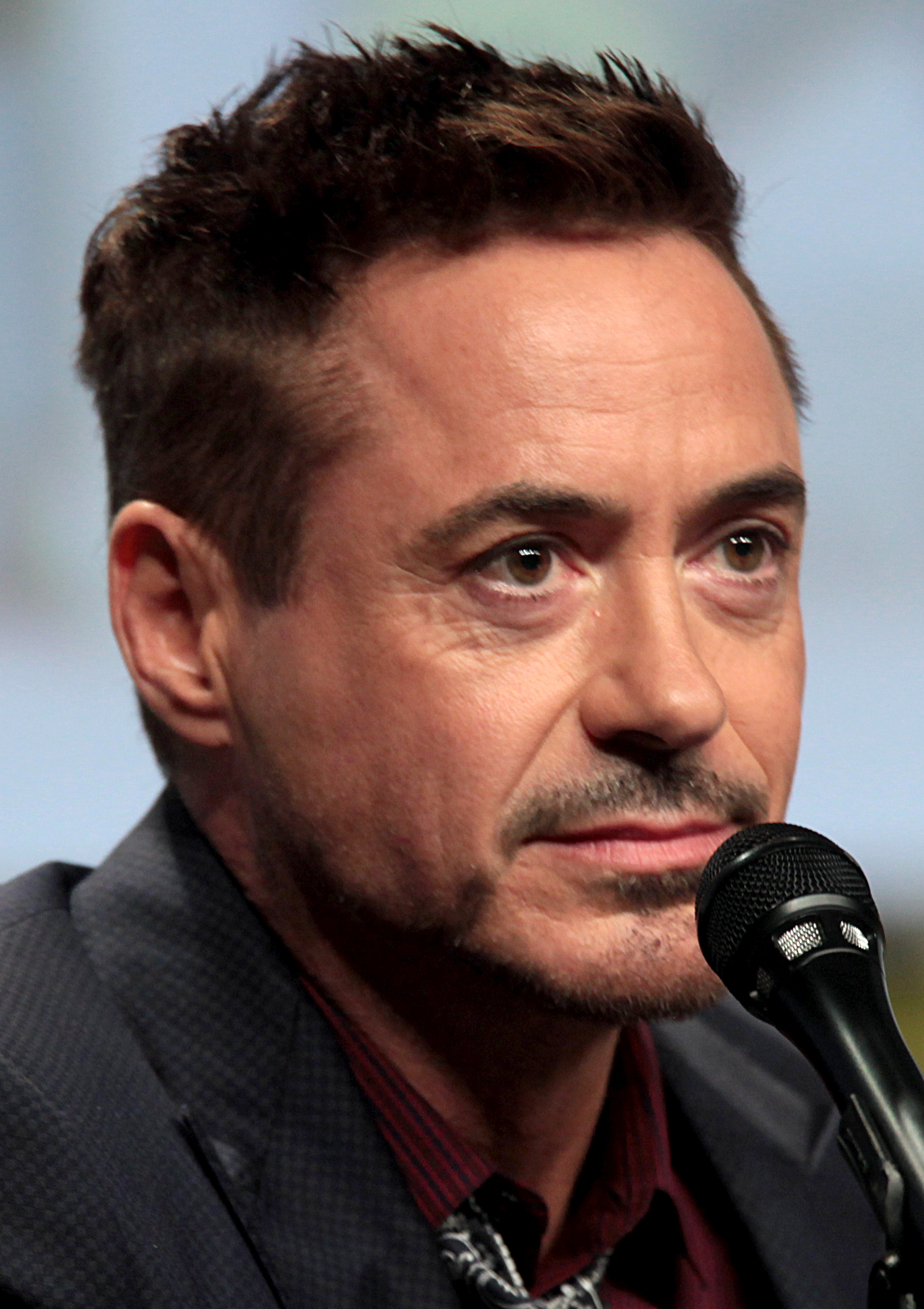 Robert Downey Jr. photo