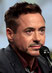 Robert Downey Jr. photo