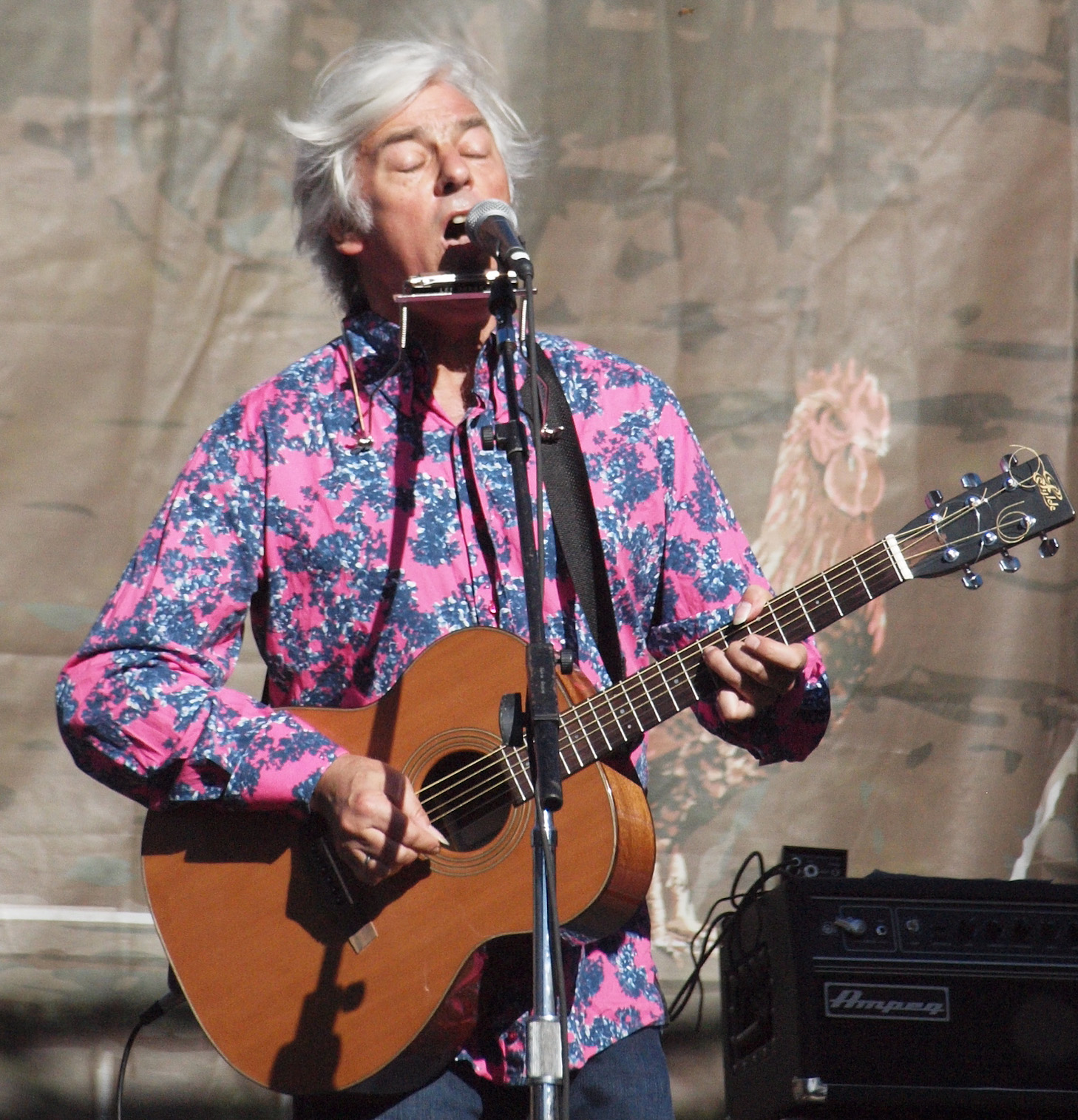 Robyn Hitchcock photo