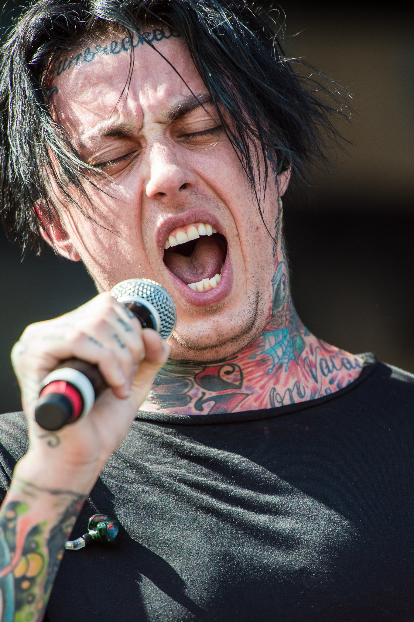 Ronnie Radke photo