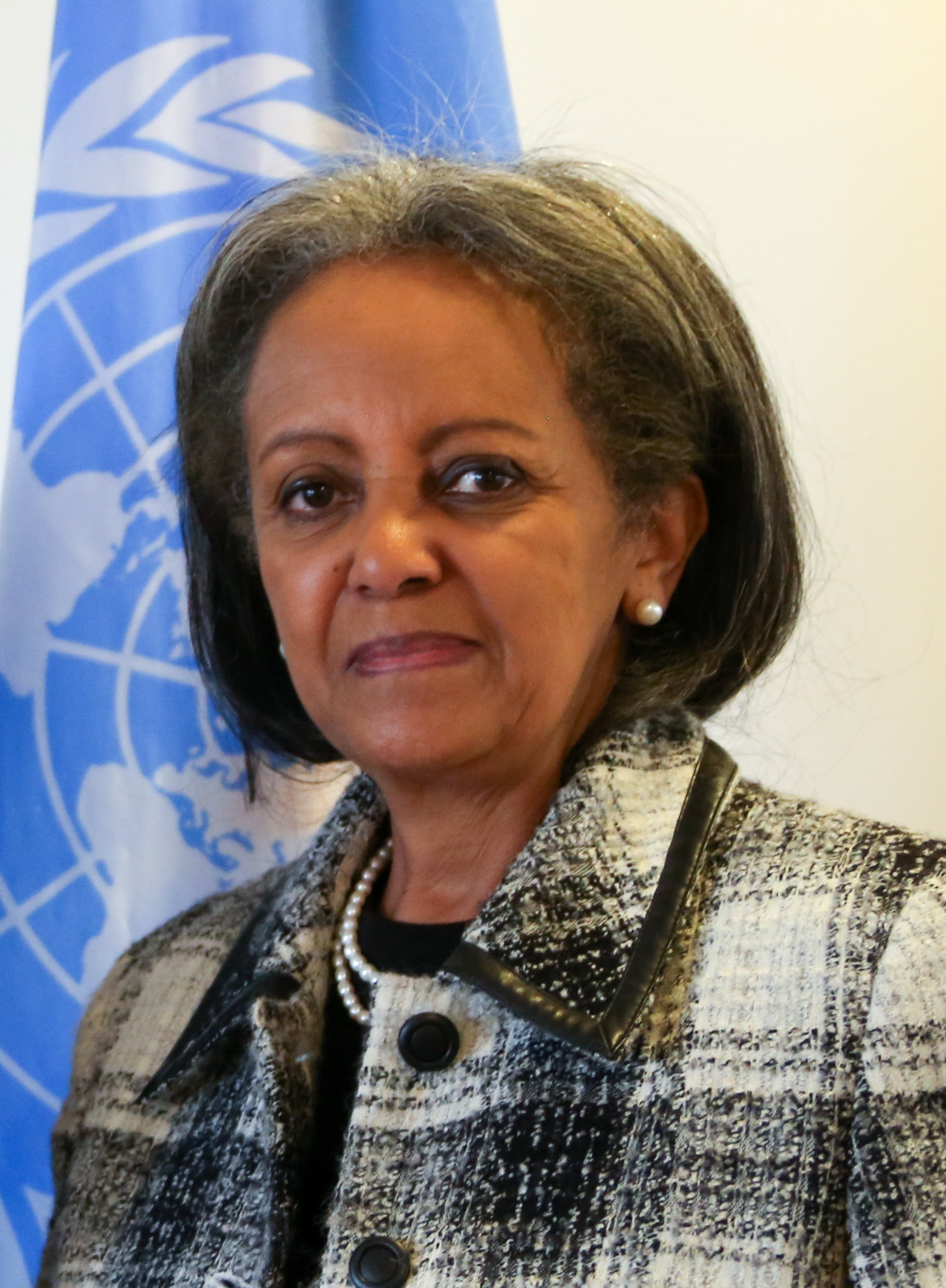 Sahle-Uork Zeudé photo